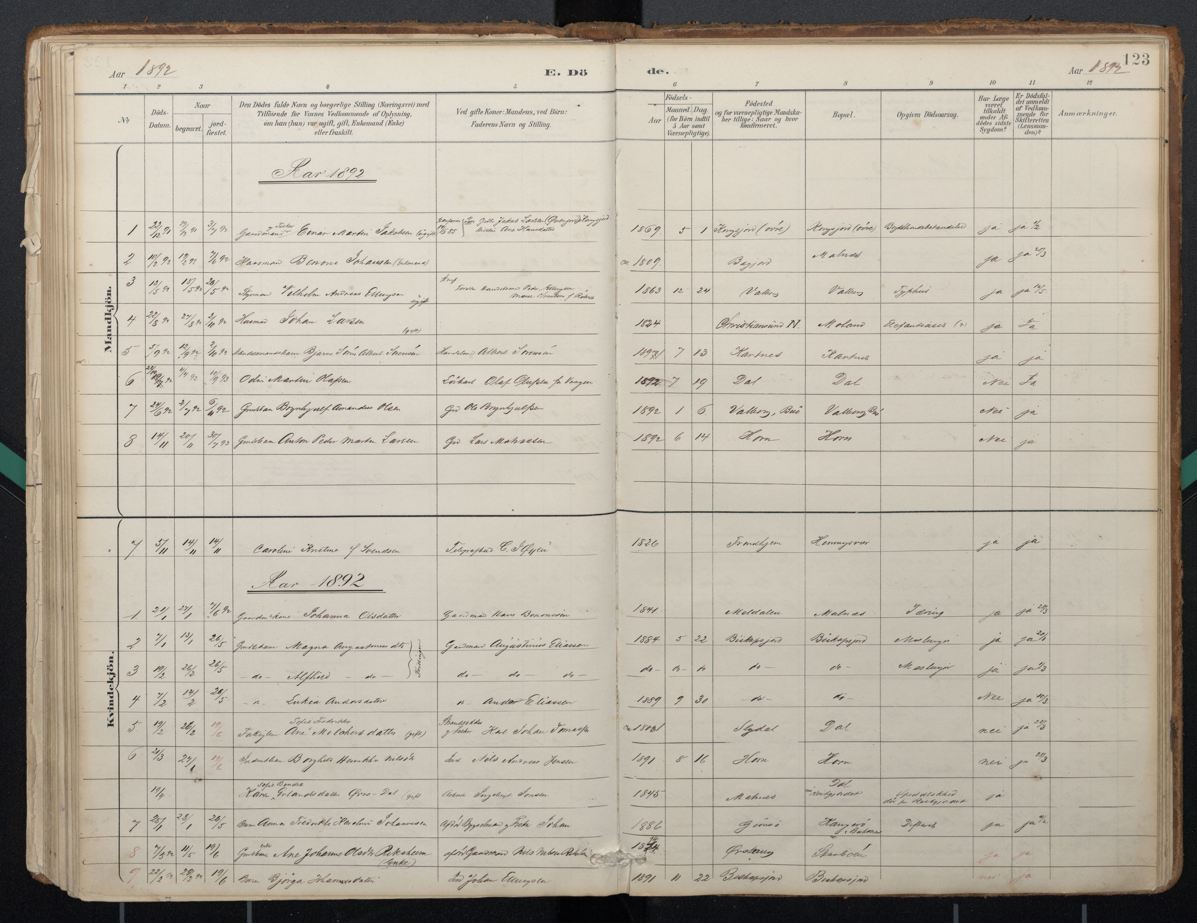 Ministerialprotokoller, klokkerbøker og fødselsregistre - Nordland, AV/SAT-A-1459/884/L1193: Parish register (official) no. 884A01, 1888-1905, p. 123