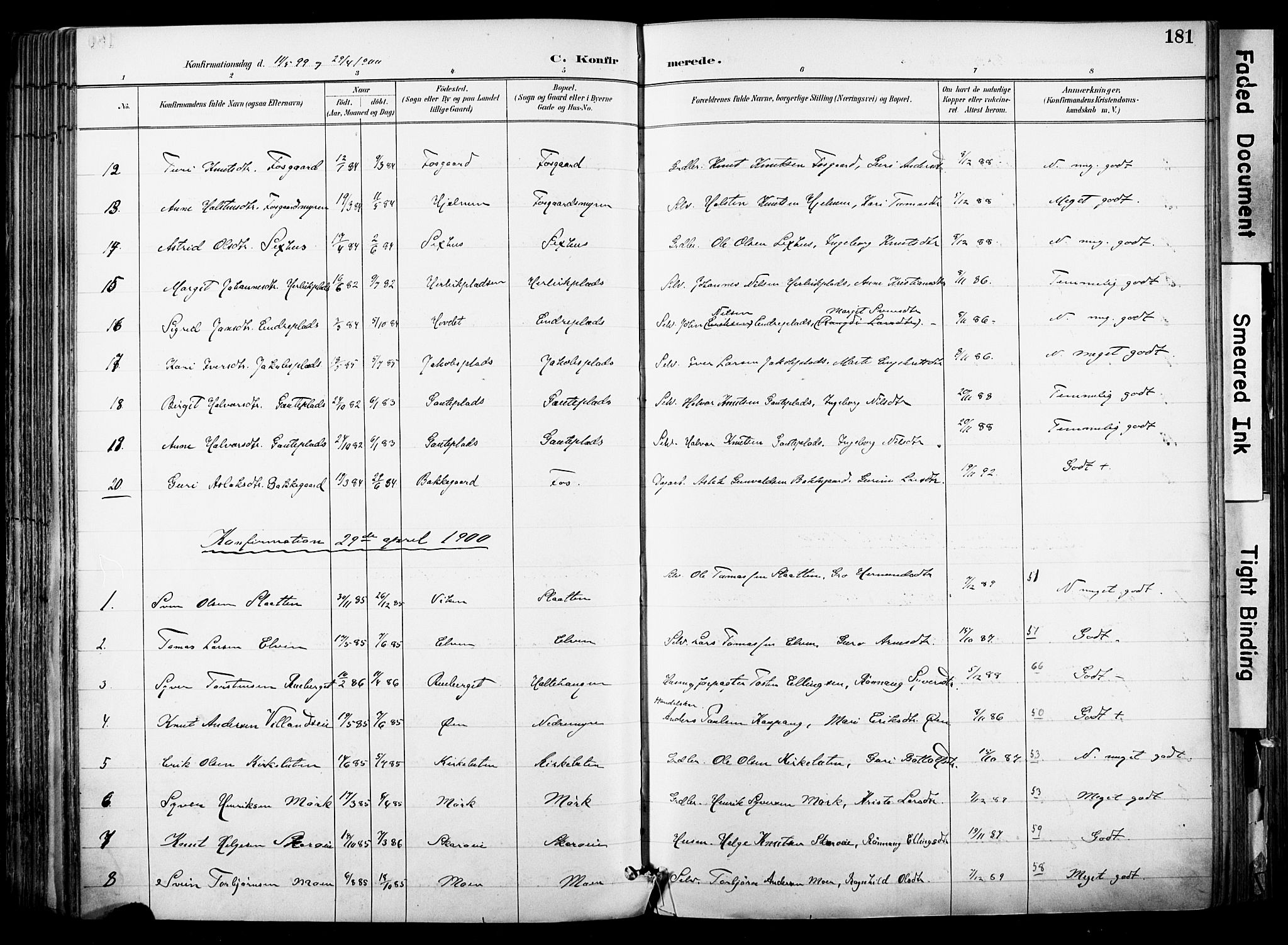 Hol kirkebøker, AV/SAKO-A-227/F/Fa/L0003: Parish register (official) no. I 3, 1887-1918, p. 181