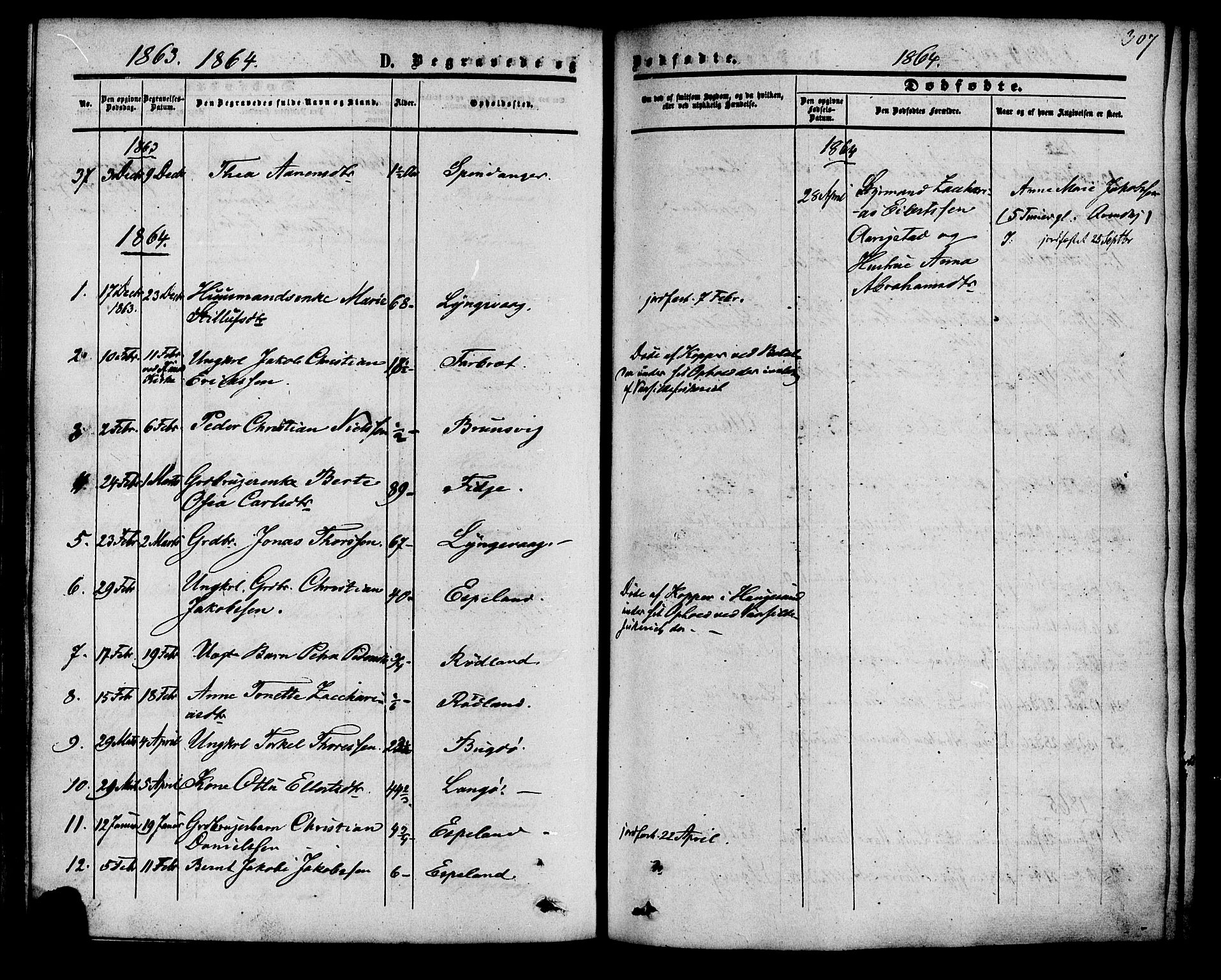 Herad sokneprestkontor, SAK/1111-0018/F/Fa/Fab/L0004: Parish register (official) no. A 4, 1853-1885, p. 307