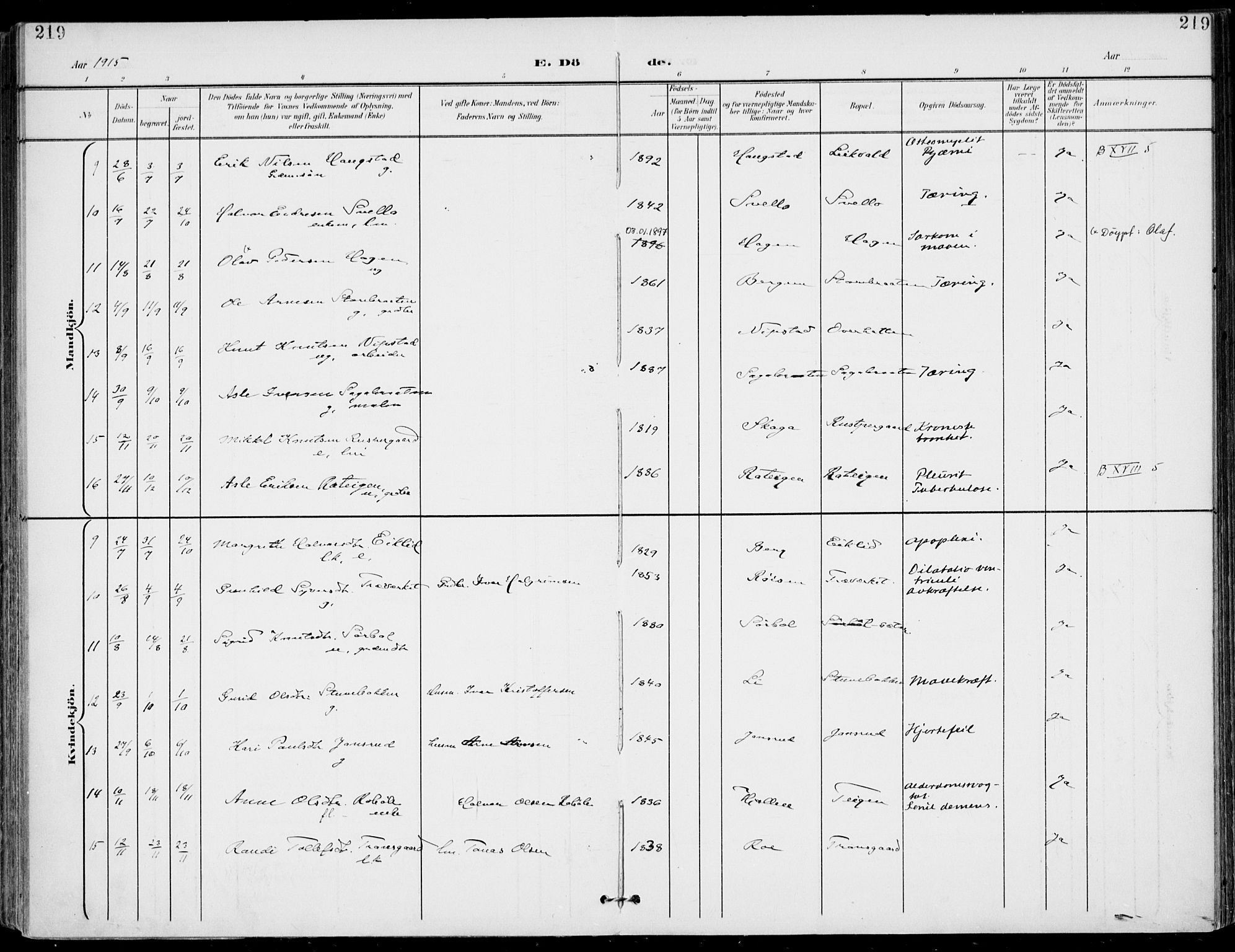 Gol kirkebøker, AV/SAKO-A-226/F/Fa/L0006: Parish register (official) no. I 6, 1901-1918, p. 219