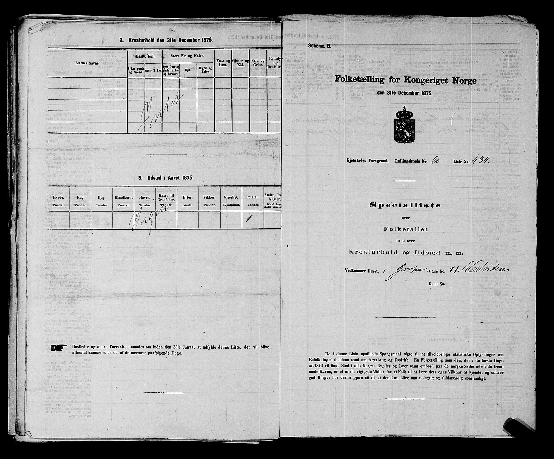 SAKO, 1875 census for 0805P Porsgrunn, 1875, p. 973