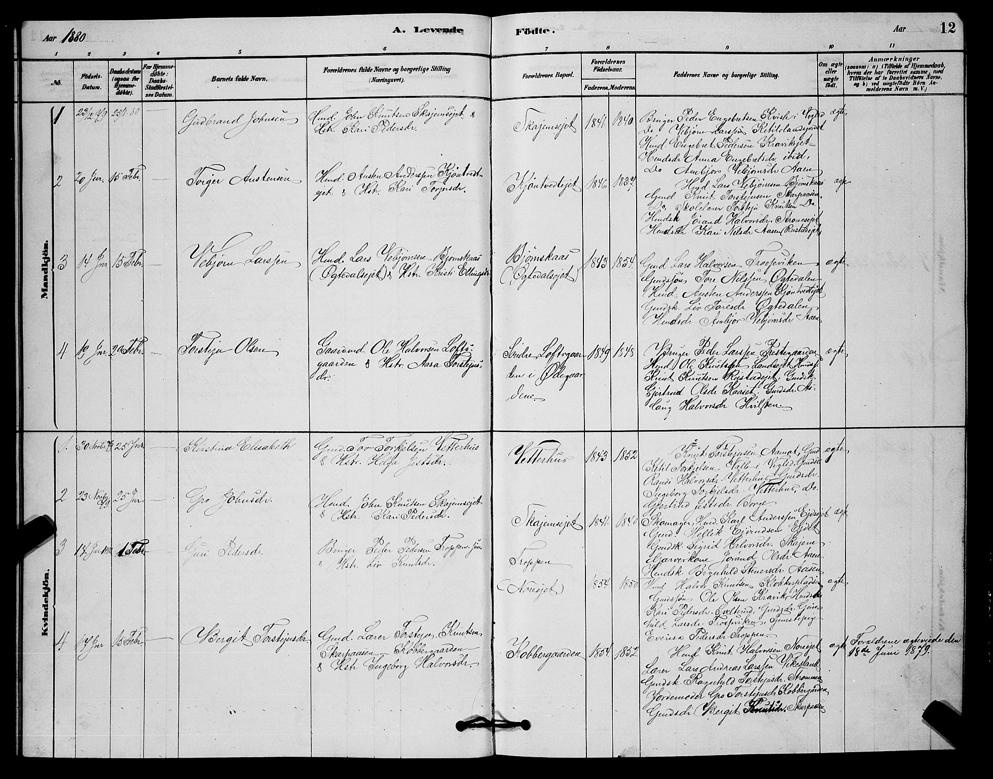 Nore kirkebøker, AV/SAKO-A-238/G/Ga/L0002: Parish register (copy) no. I 2, 1878-1885, p. 12