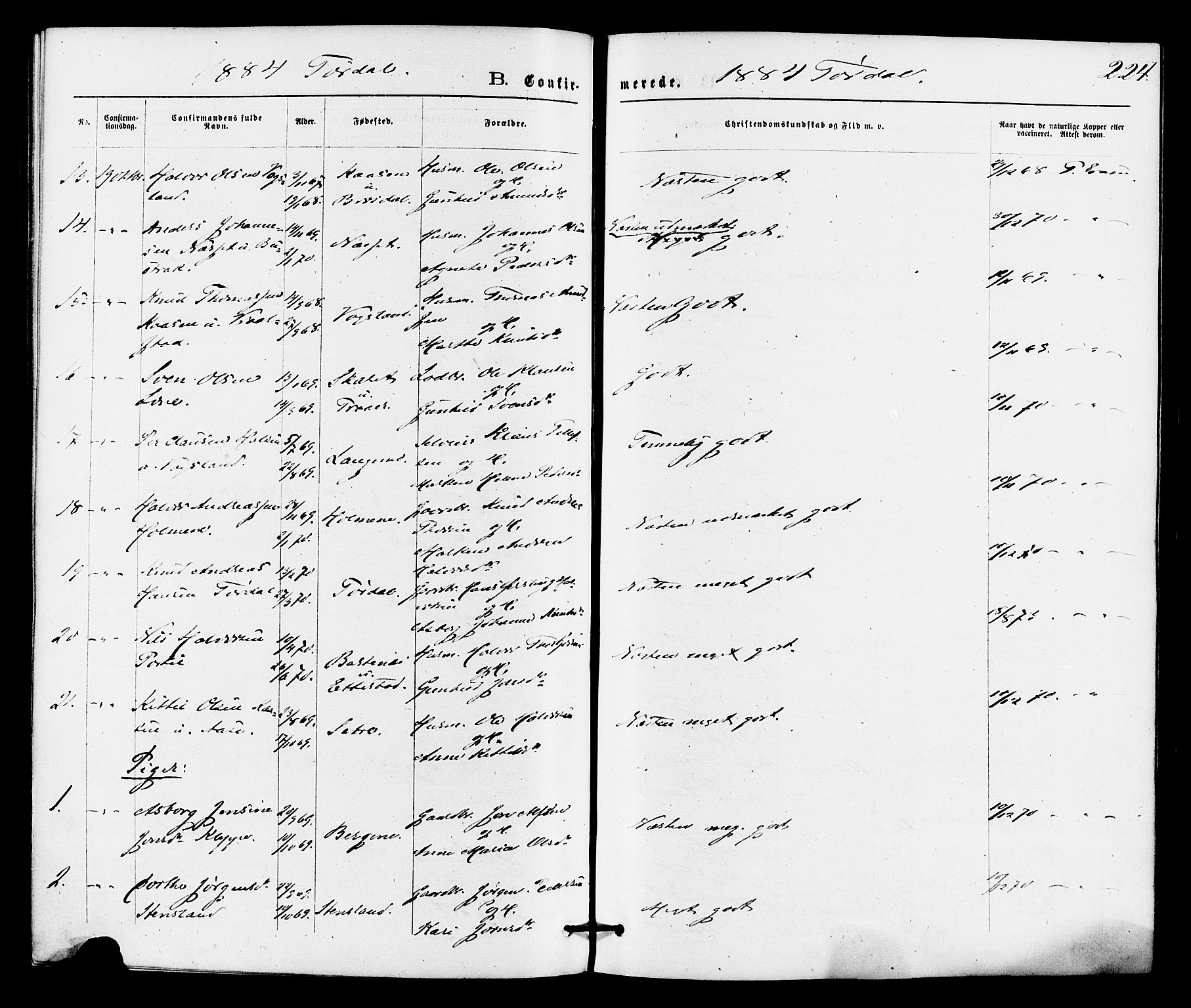 Drangedal kirkebøker, SAKO/A-258/F/Fa/L0009: Parish register (official) no. 9 /2, 1872-1884, p. 224