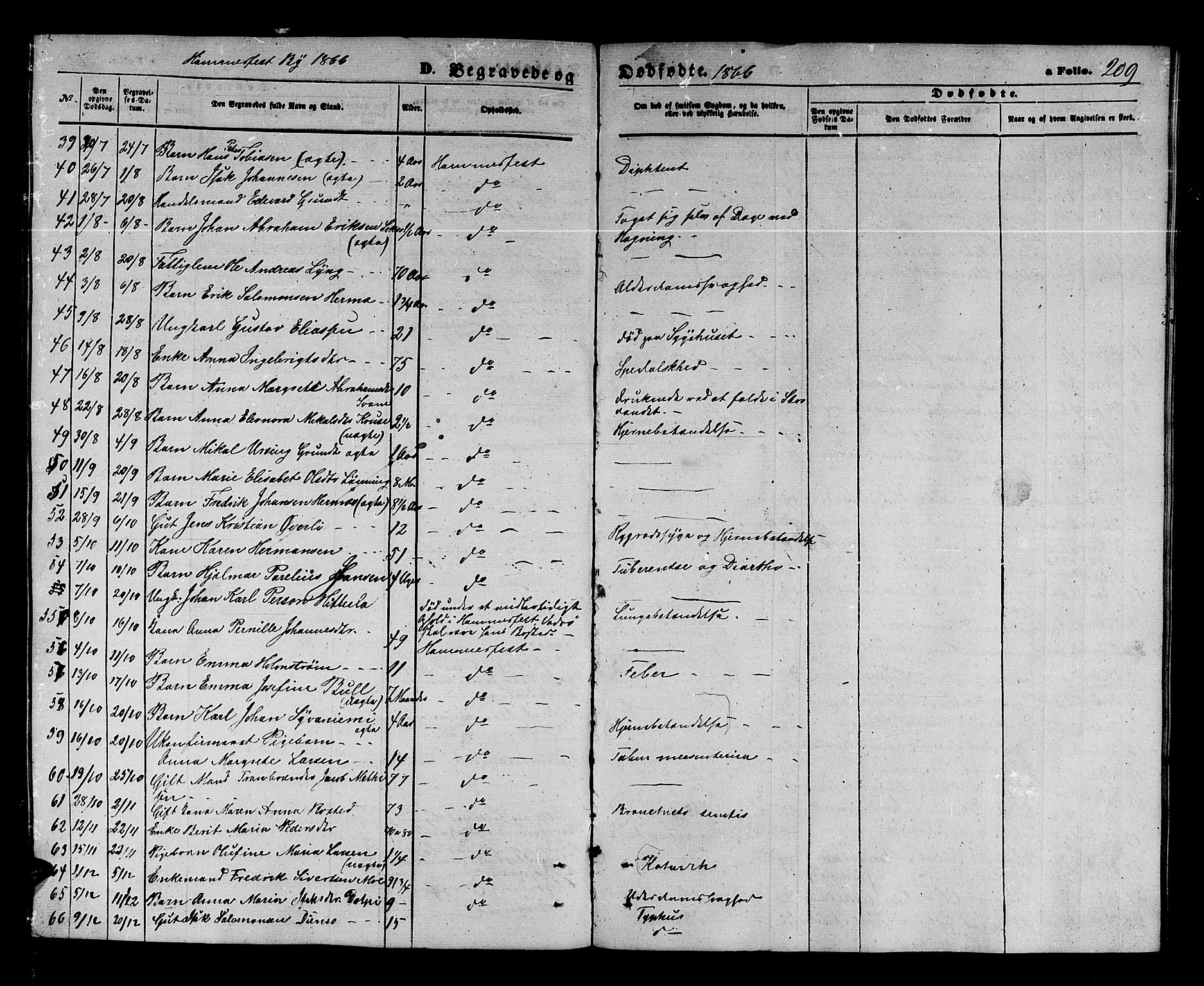 Hammerfest sokneprestkontor, AV/SATØ-S-1347/H/Hb/L0003.klokk: Parish register (copy) no. 3 /1, 1862-1868, p. 209