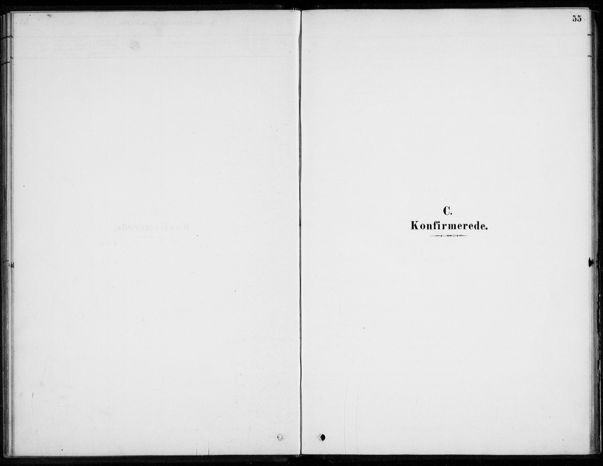 Åssiden kirkebøker, AV/SAKO-A-251/F/Fa/L0001: Parish register (official) no. 1, 1878-1904, p. 55