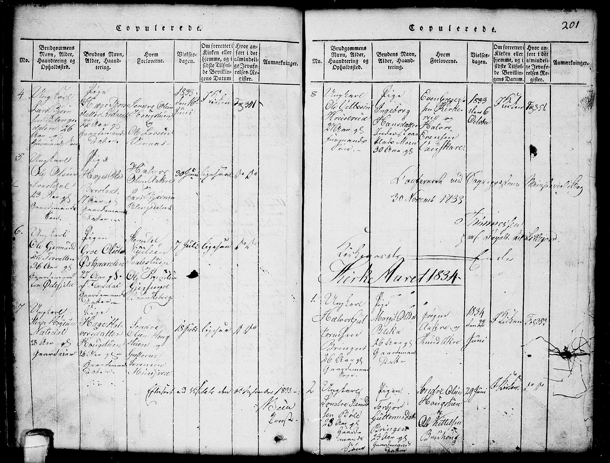 Seljord kirkebøker, SAKO/A-20/G/Gb/L0002: Parish register (copy) no. II 2, 1815-1854, p. 201