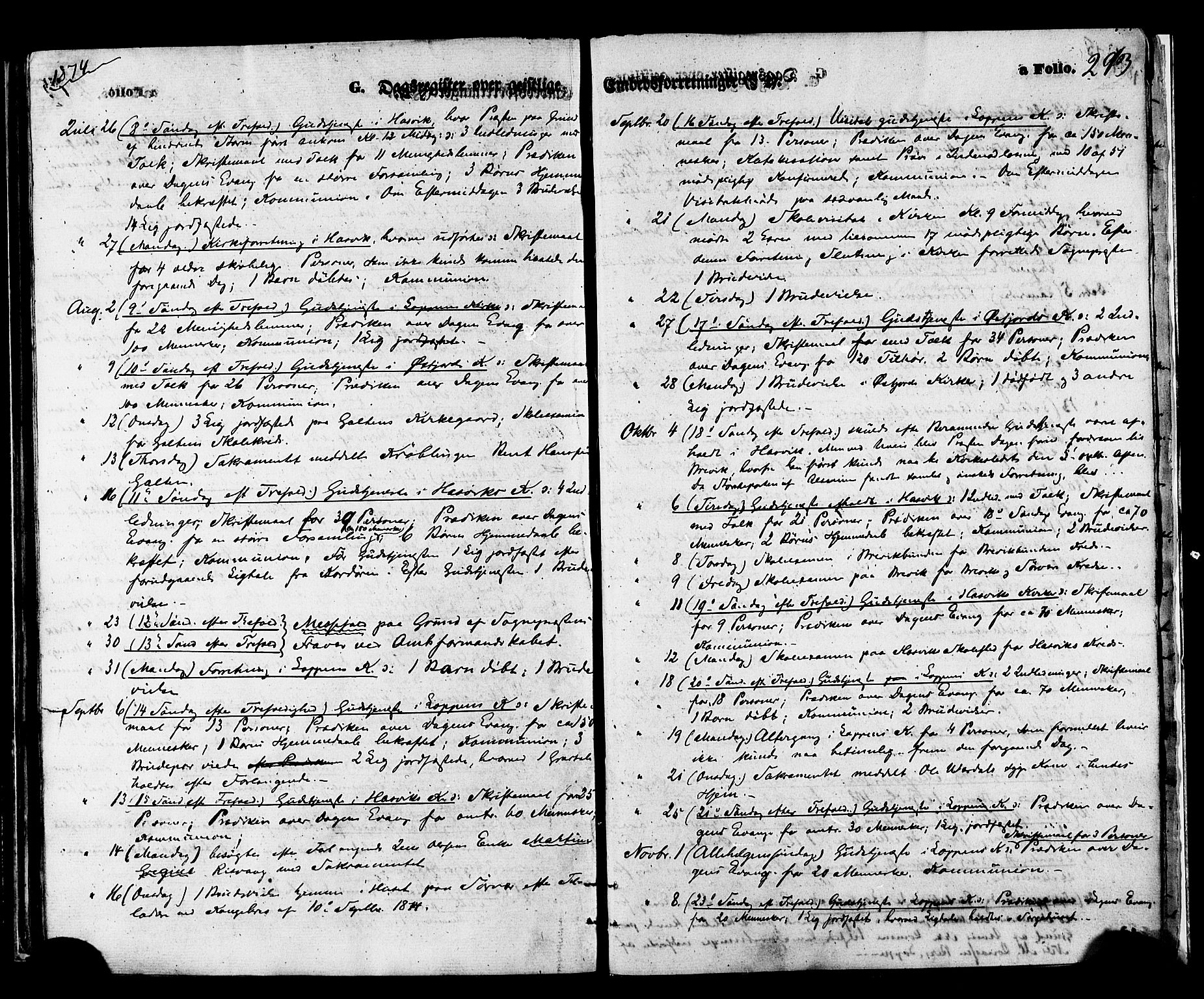 Loppa sokneprestkontor, AV/SATØ-S-1339/H/Ha/L0005kirke: Parish register (official) no. 5, 1869-1878, p. 293