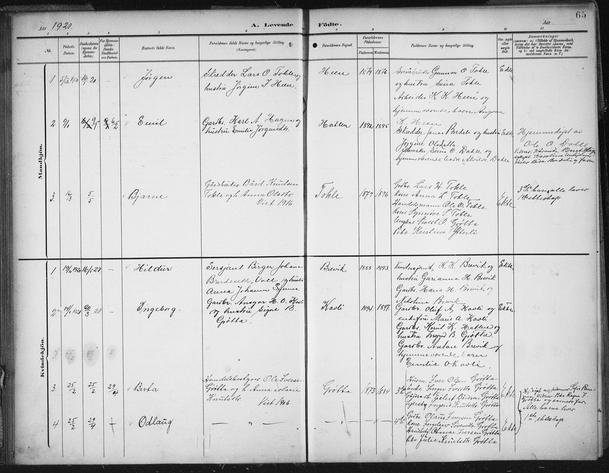 Ministerialprotokoller, klokkerbøker og fødselsregistre - Møre og Romsdal, AV/SAT-A-1454/545/L0589: Parish register (copy) no. 545C03, 1902-1937, p. 65