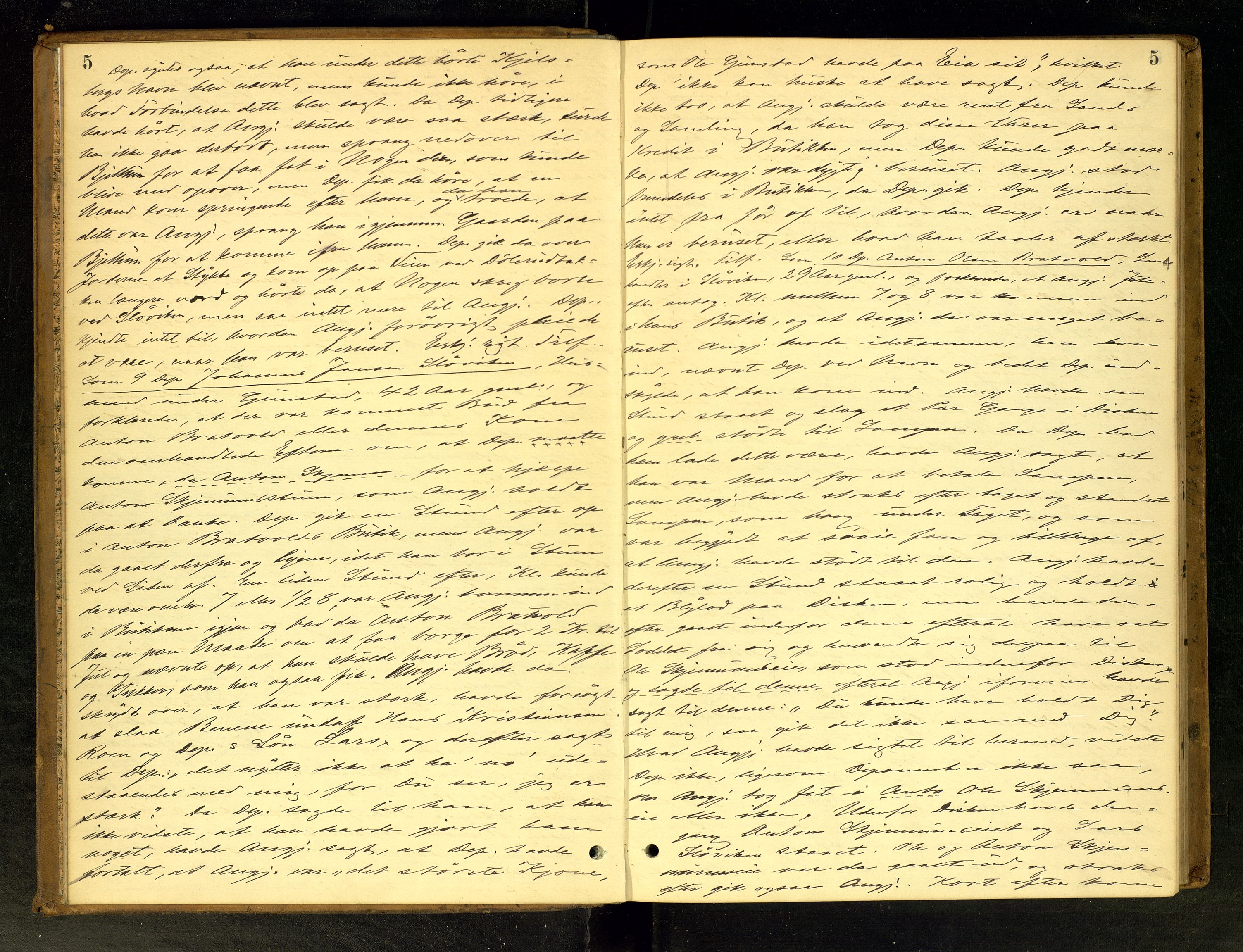 Hadeland og Land tingrett, AV/SAH-TING-010/G/Gc/L0022: Ekstrarettsprotokoll, 1885-1886, p. 5
