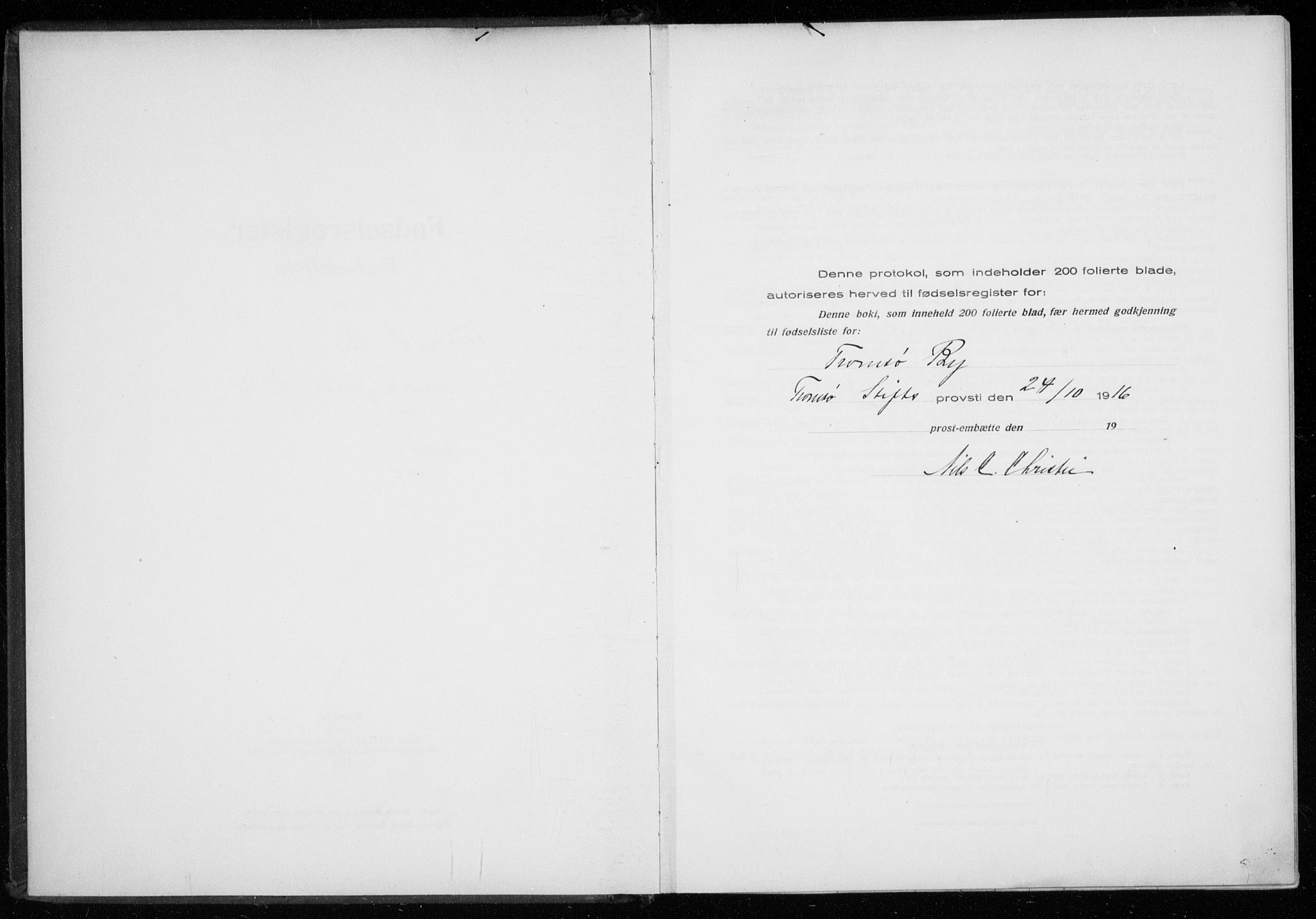 Tromsø sokneprestkontor/stiftsprosti/domprosti, AV/SATØ-S-1343/H/Ha/L0131: Birth register no. 131, 1916-1921