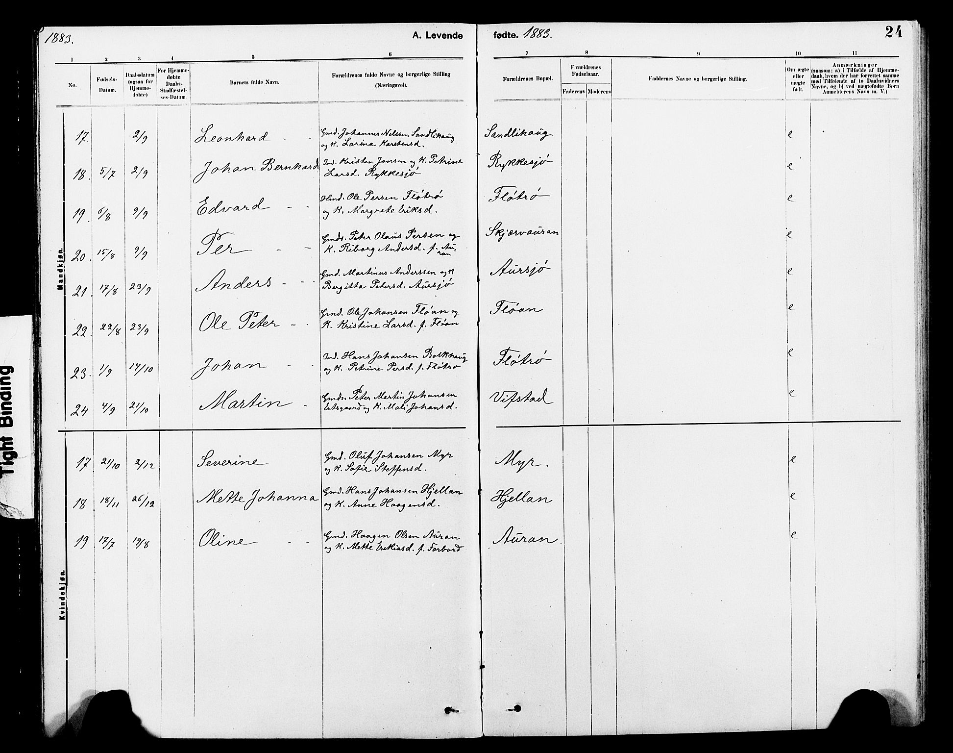 Ministerialprotokoller, klokkerbøker og fødselsregistre - Nord-Trøndelag, AV/SAT-A-1458/712/L0103: Parish register (copy) no. 712C01, 1878-1917, p. 24