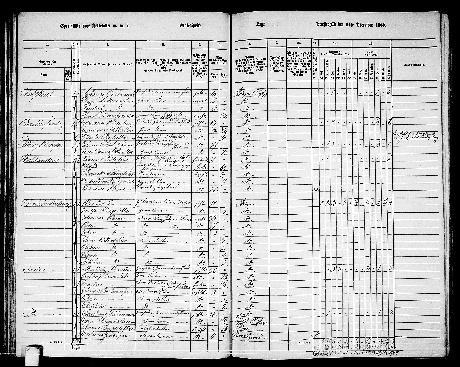 RA, 1865 census for Skogn, 1865, p. 66