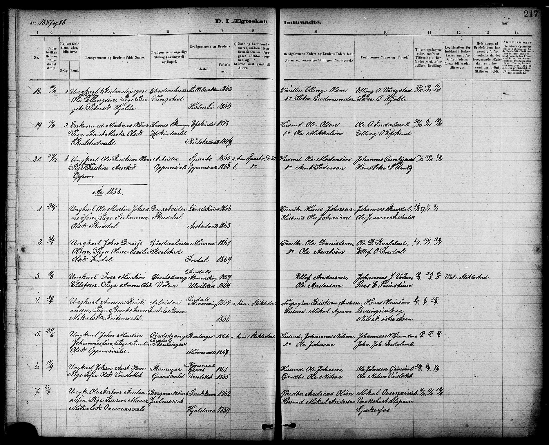 Ministerialprotokoller, klokkerbøker og fødselsregistre - Nord-Trøndelag, AV/SAT-A-1458/724/L0267: Parish register (copy) no. 724C03, 1879-1898, p. 217