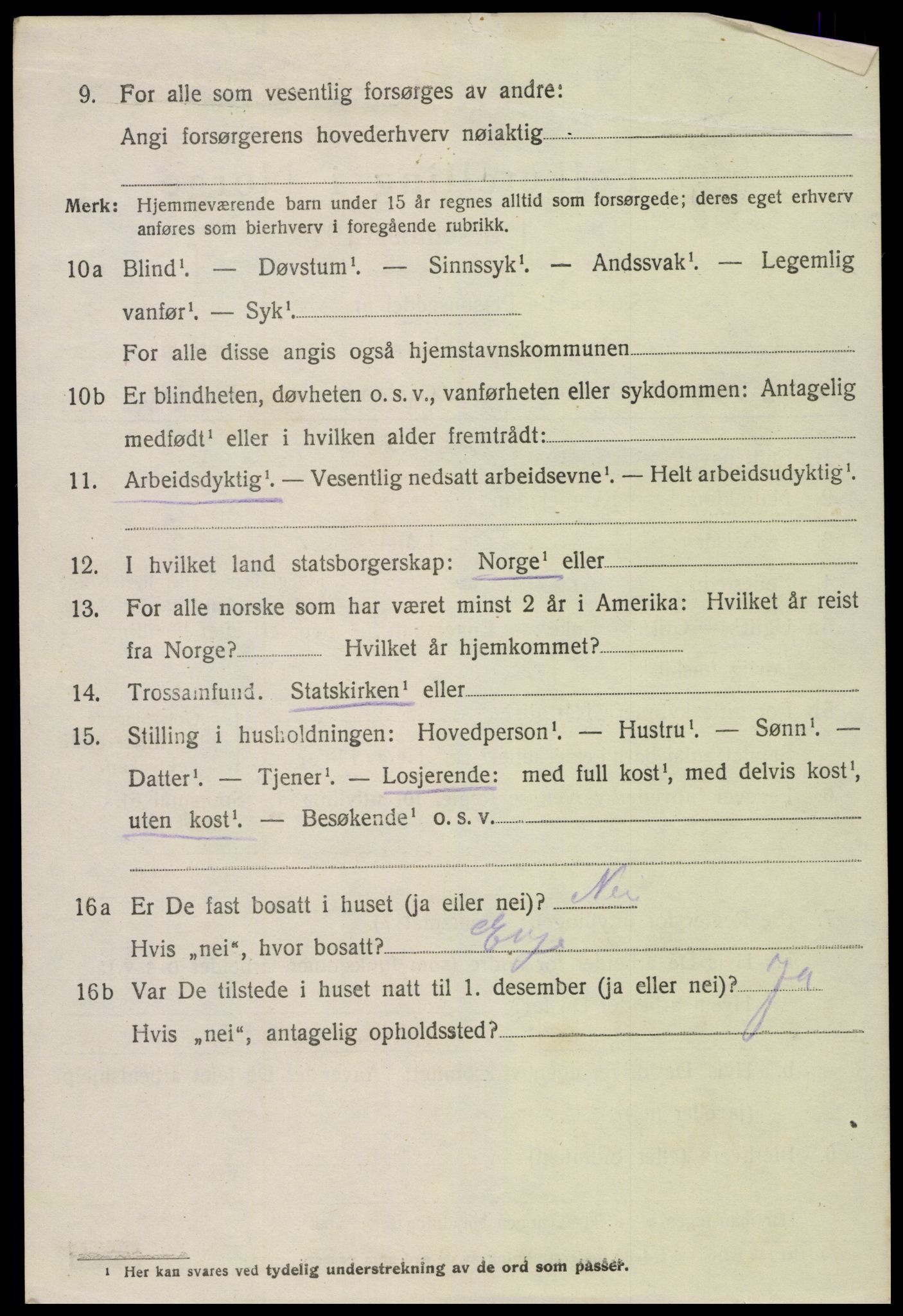 SAK, 1920 census for Hornnes, 1920, p. 928