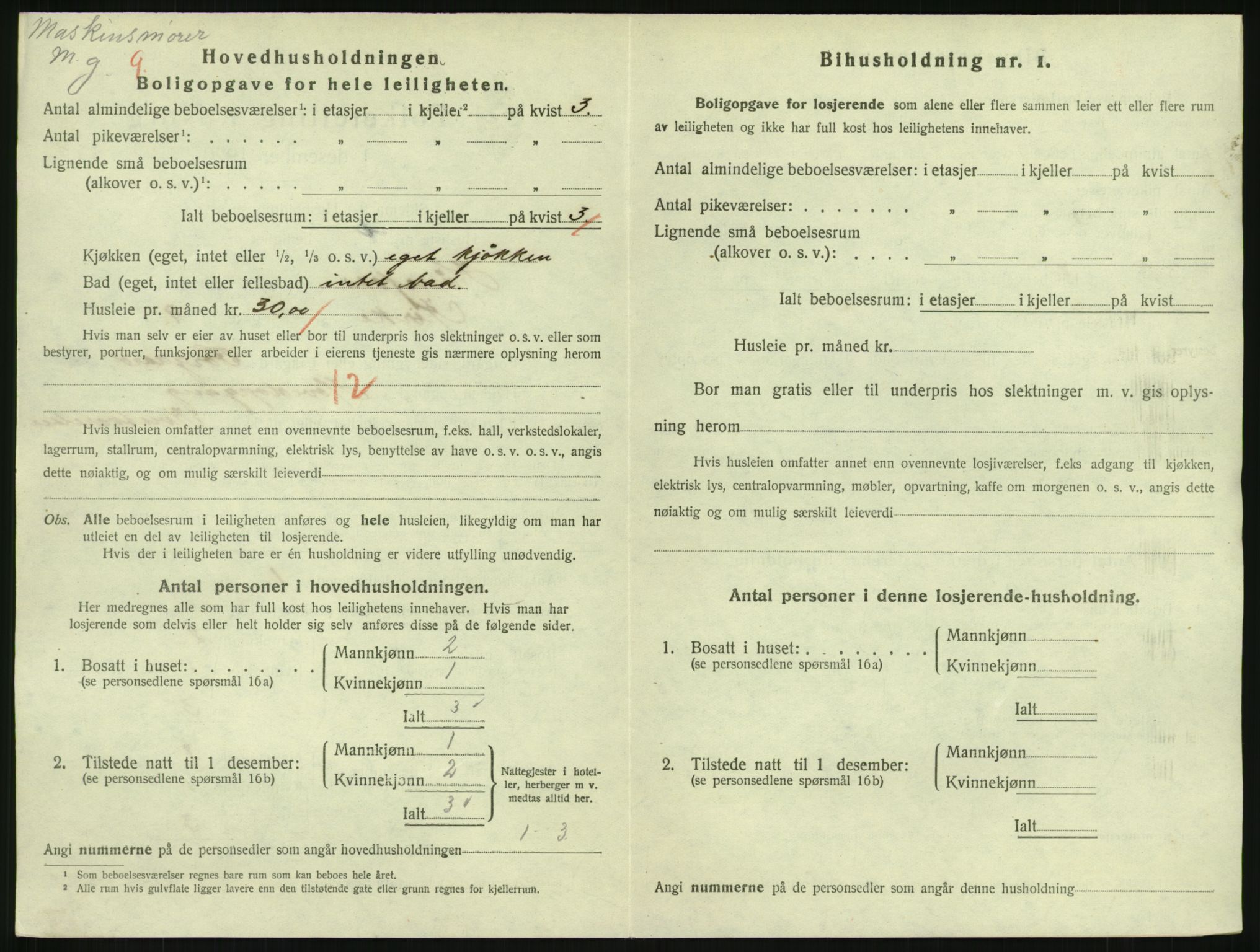 SAKO, 1920 census for Hønefoss, 1920, p. 1913