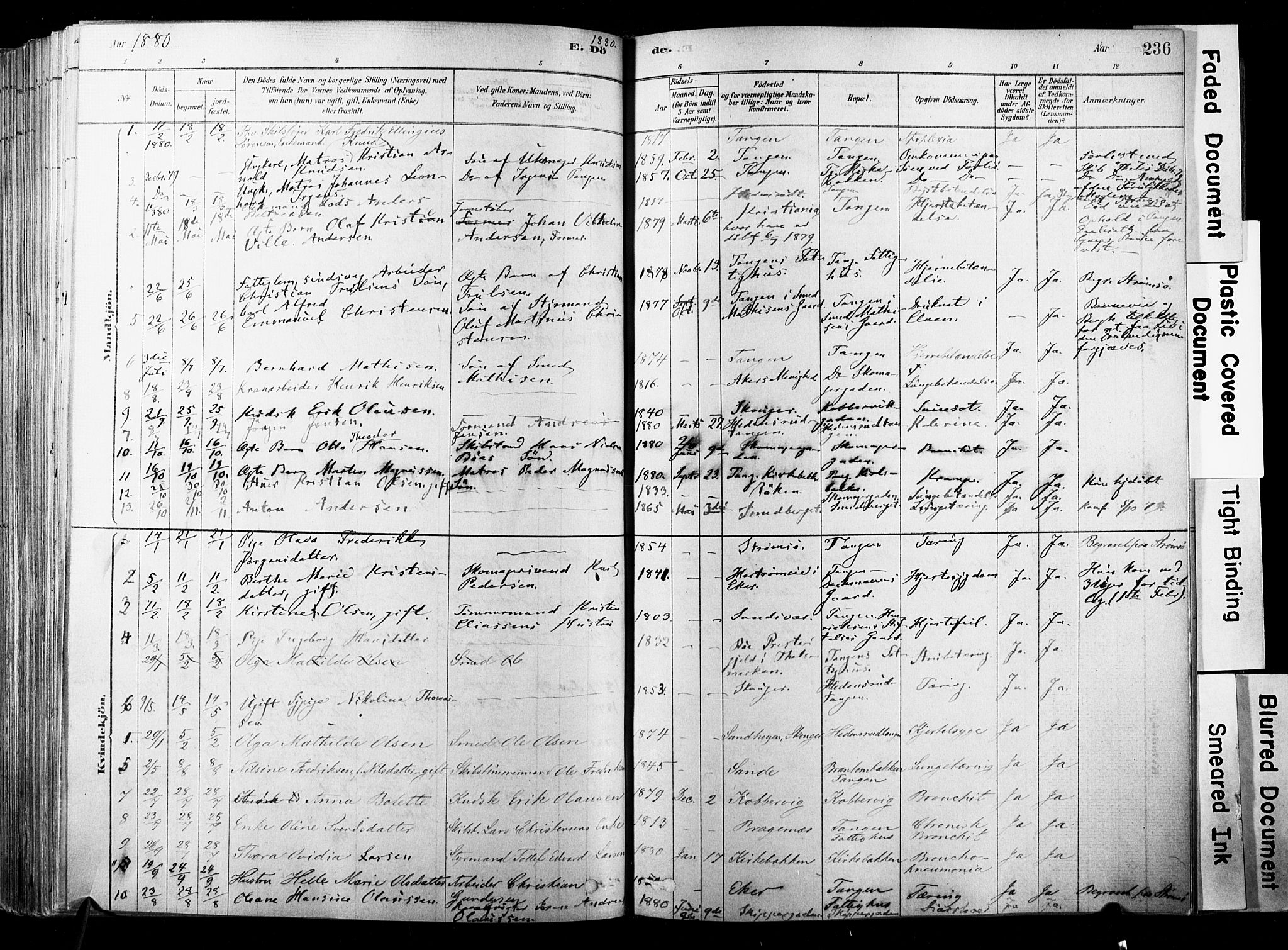 Strømsø kirkebøker, SAKO/A-246/F/Fb/L0006: Parish register (official) no. II 6, 1879-1910, p. 236