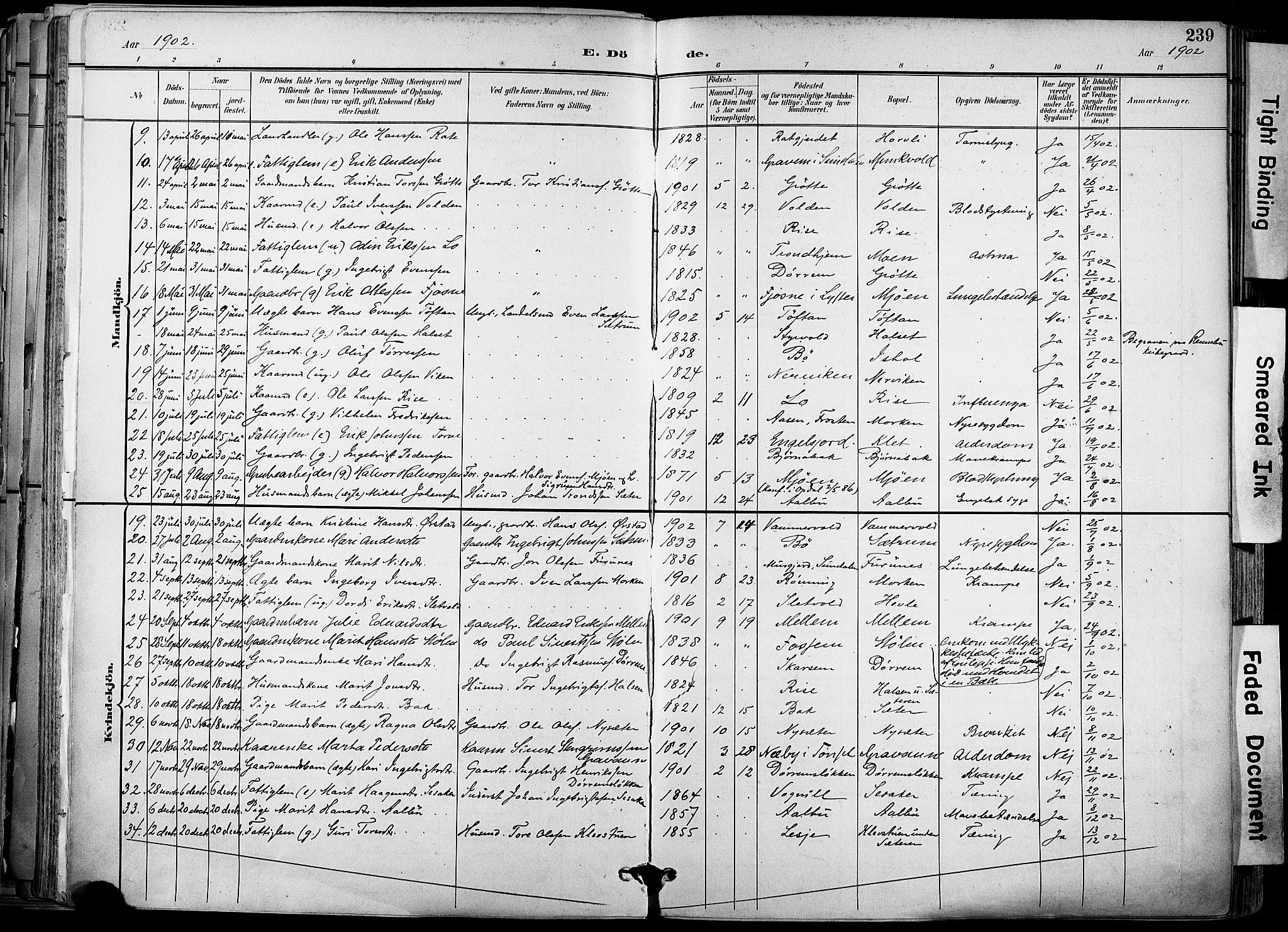 Ministerialprotokoller, klokkerbøker og fødselsregistre - Sør-Trøndelag, SAT/A-1456/678/L0902: Parish register (official) no. 678A11, 1895-1911, p. 239