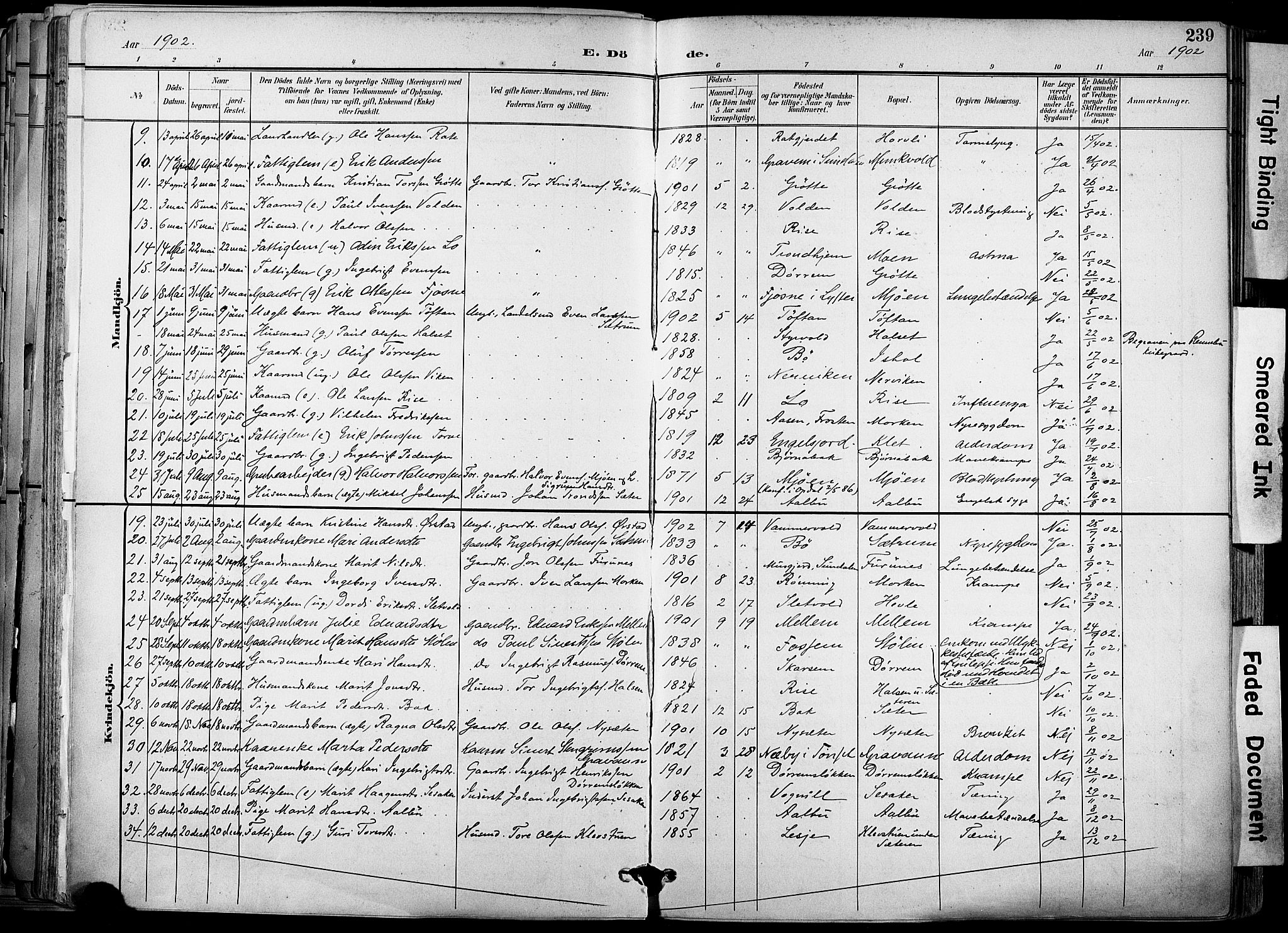 Ministerialprotokoller, klokkerbøker og fødselsregistre - Sør-Trøndelag, AV/SAT-A-1456/678/L0902: Parish register (official) no. 678A11, 1895-1911, p. 239