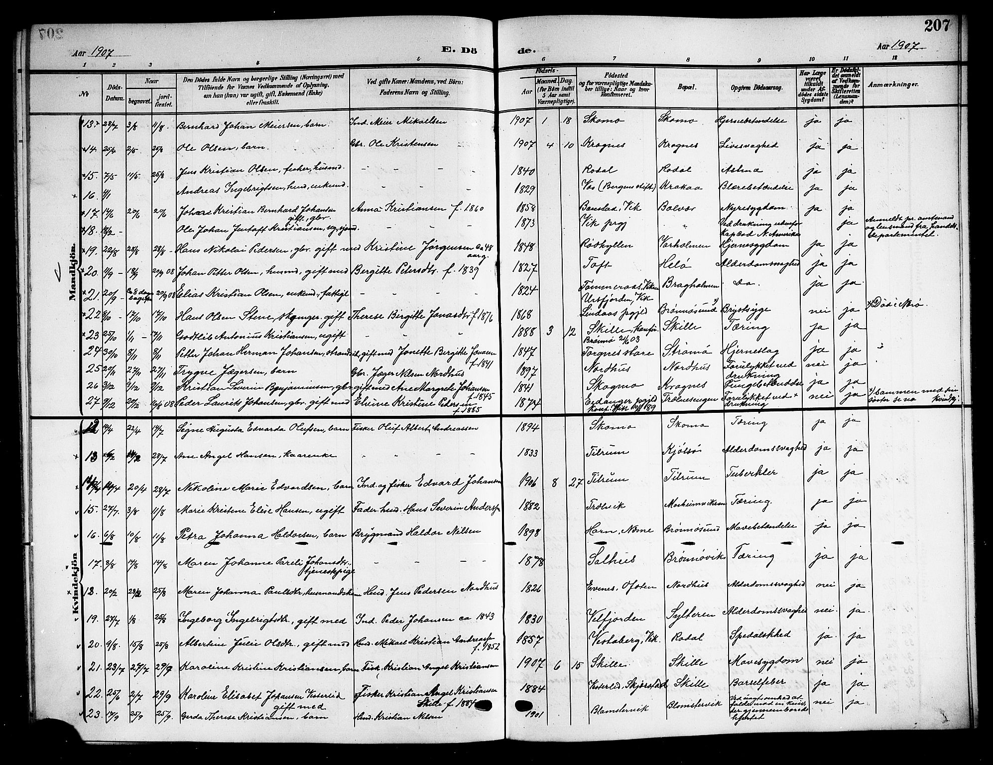 Ministerialprotokoller, klokkerbøker og fødselsregistre - Nordland, SAT/A-1459/813/L0214: Parish register (copy) no. 813C06, 1904-1917, p. 207