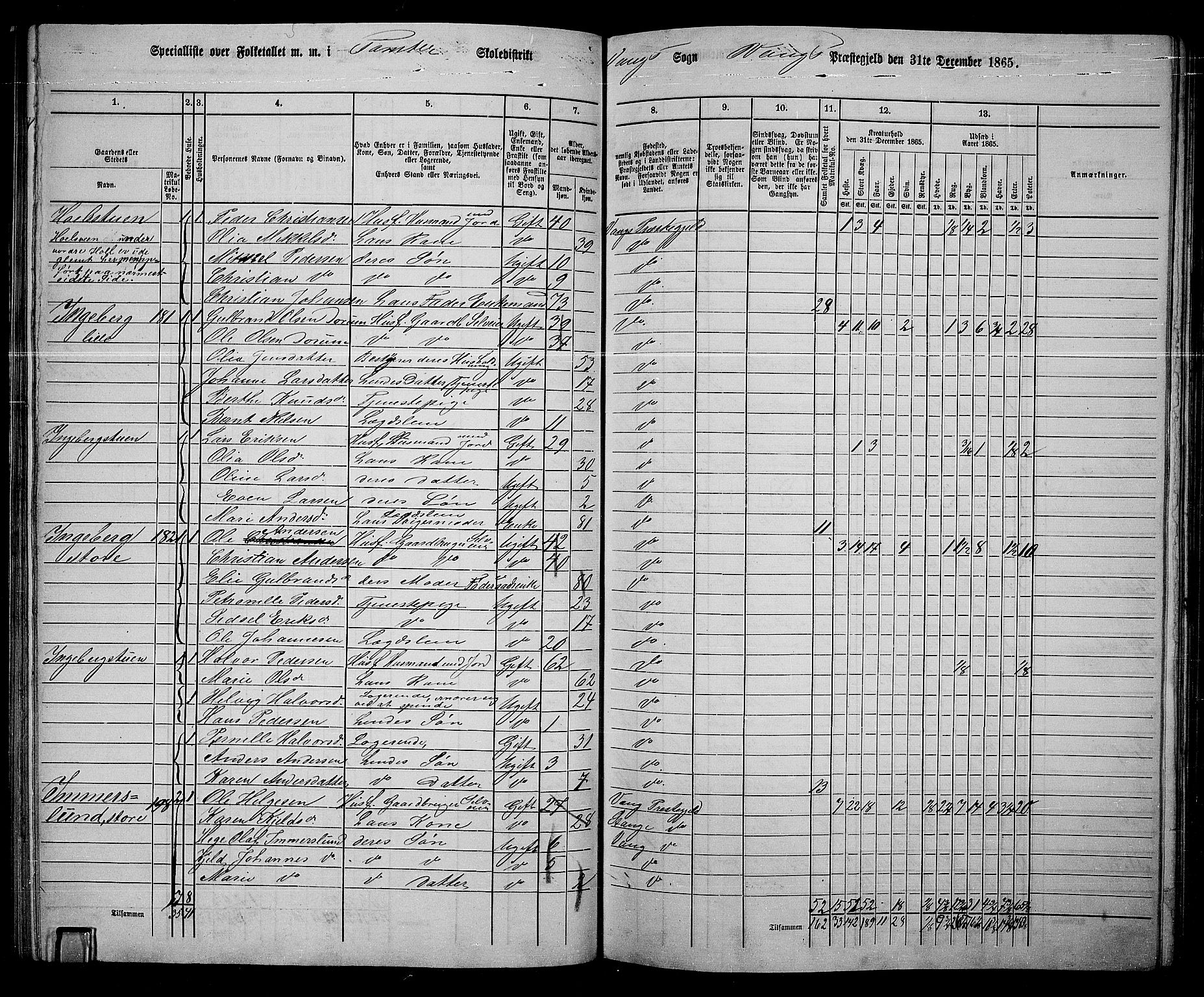 RA, 1865 census for Vang/Vang og Furnes, 1865, p. 219