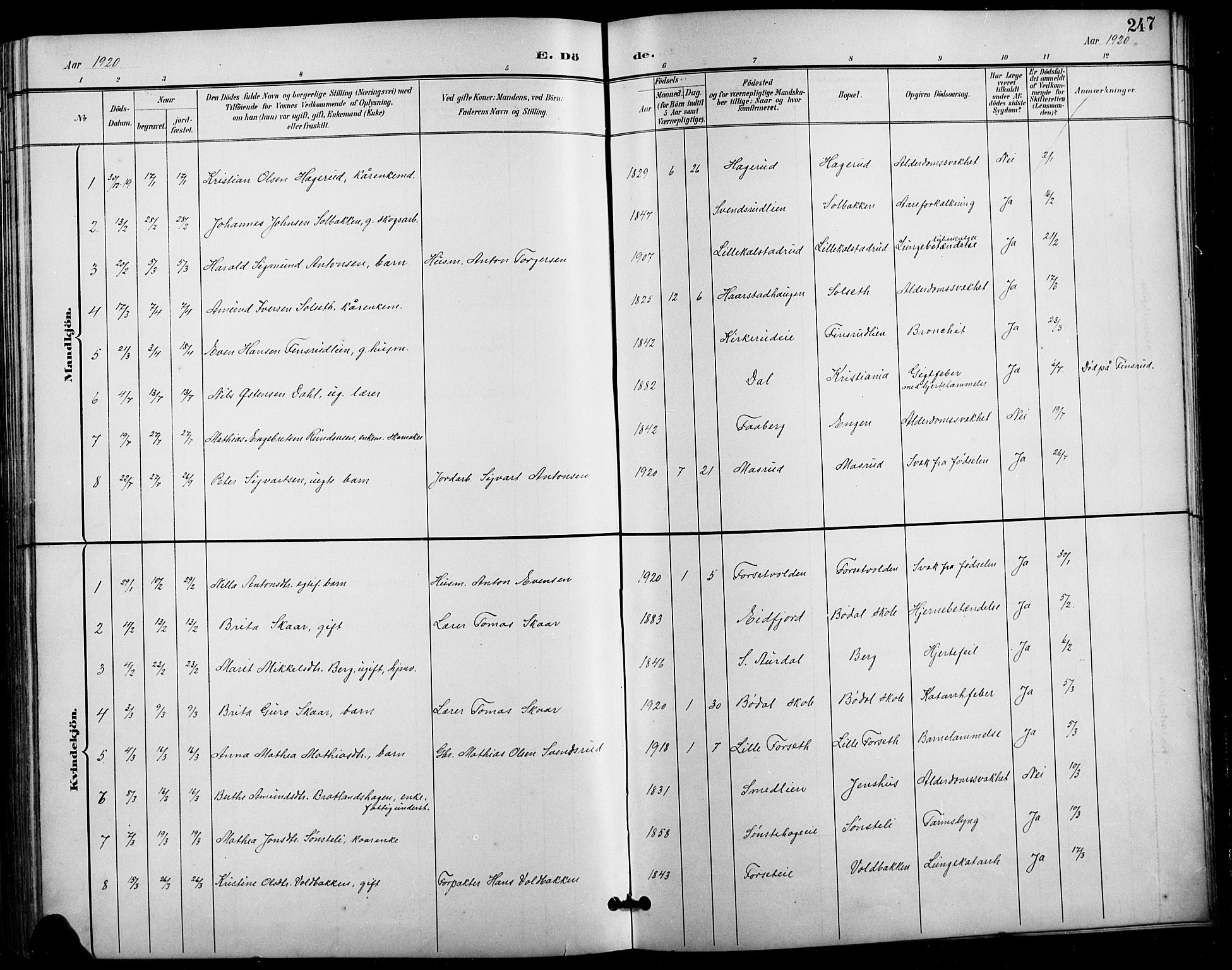 Vestre Gausdal prestekontor, SAH/PREST-094/H/Ha/Hab/L0003: Parish register (copy) no. 3, 1896-1925, p. 247