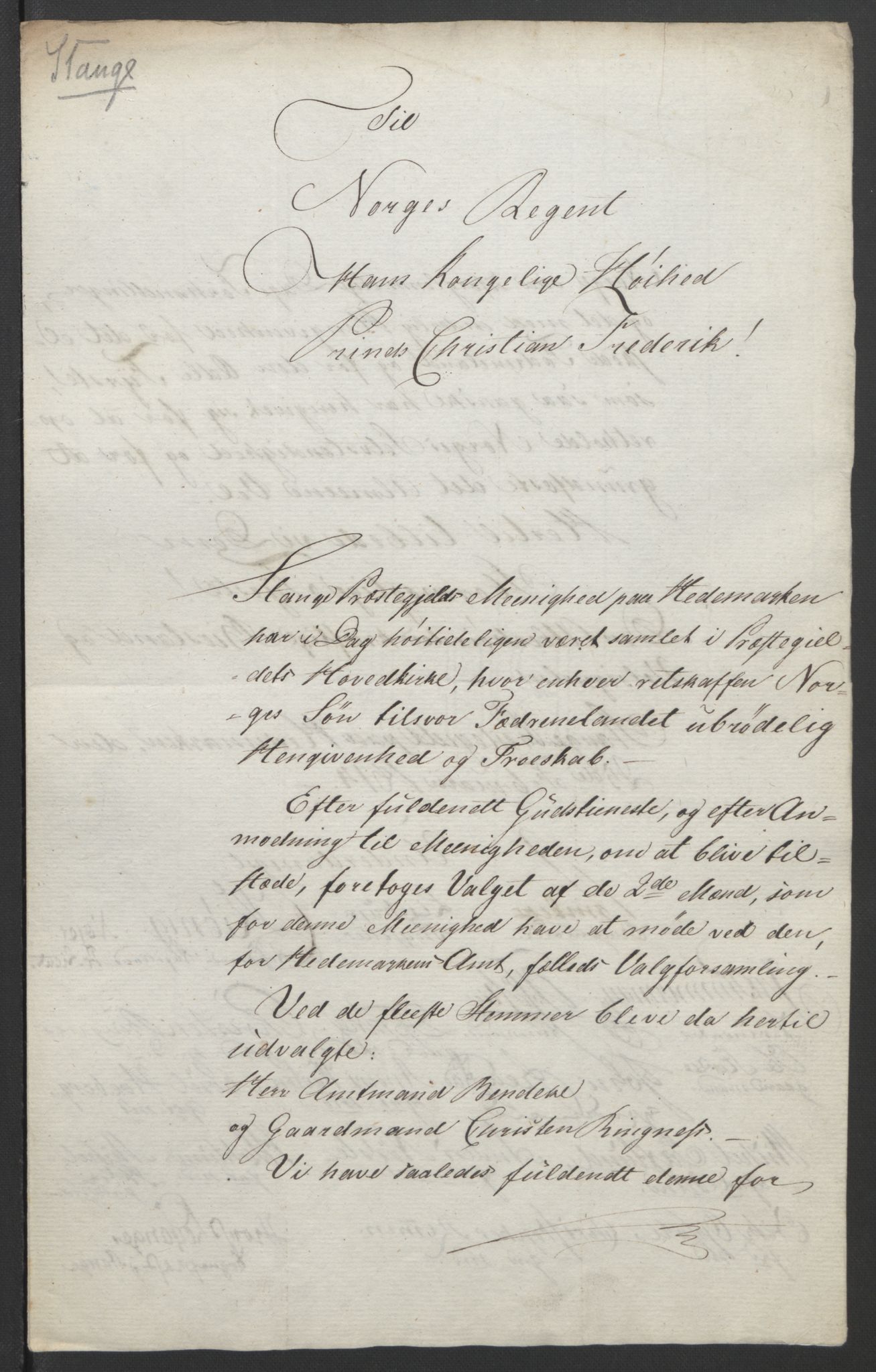 Statsrådssekretariatet, RA/S-1001/D/Db/L0007: Fullmakter for Eidsvollsrepresentantene i 1814. , 1814, p. 238