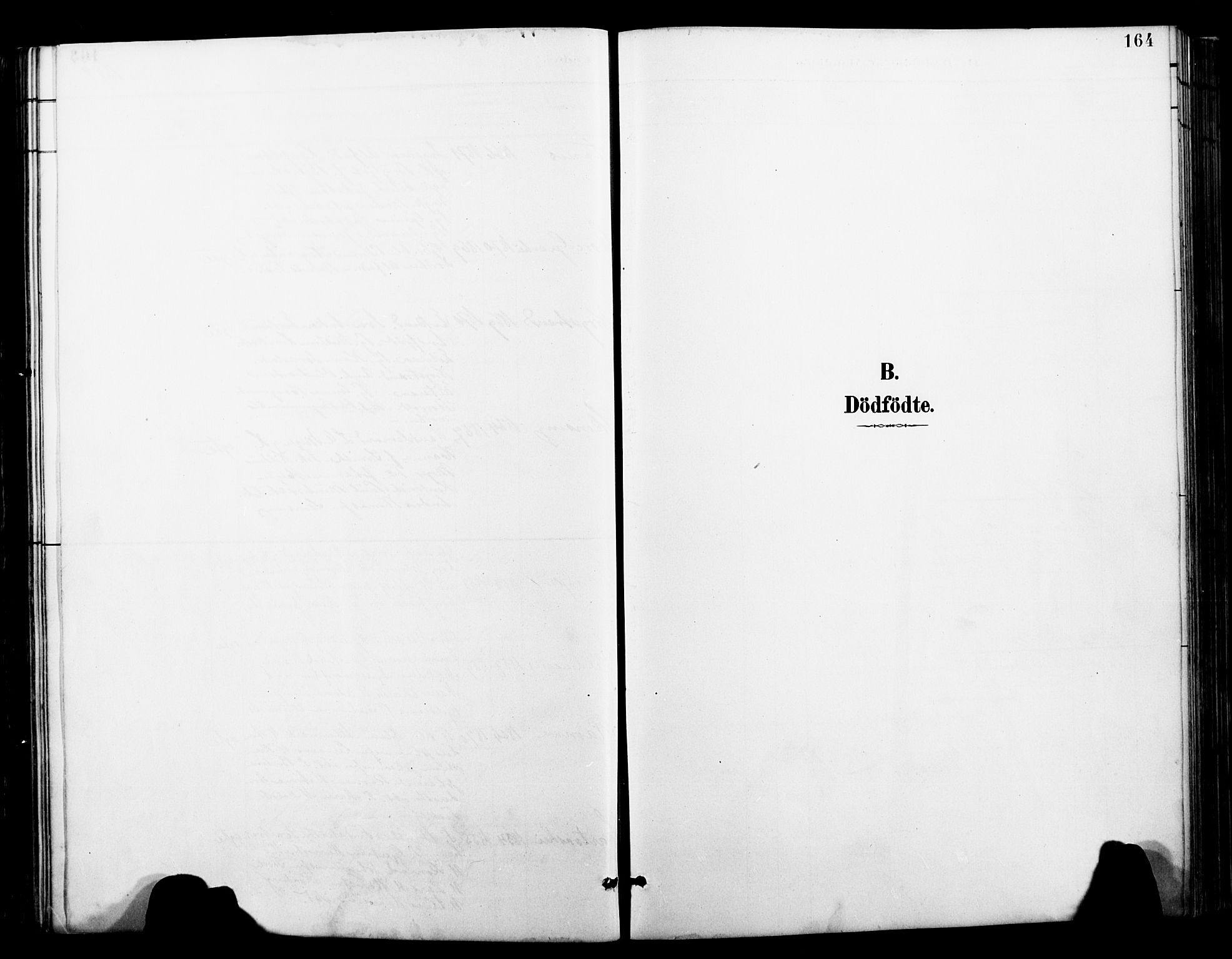 Ministerialprotokoller, klokkerbøker og fødselsregistre - Nordland, SAT/A-1459/827/L0421: Parish register (copy) no. 827C10, 1887-1906, p. 164