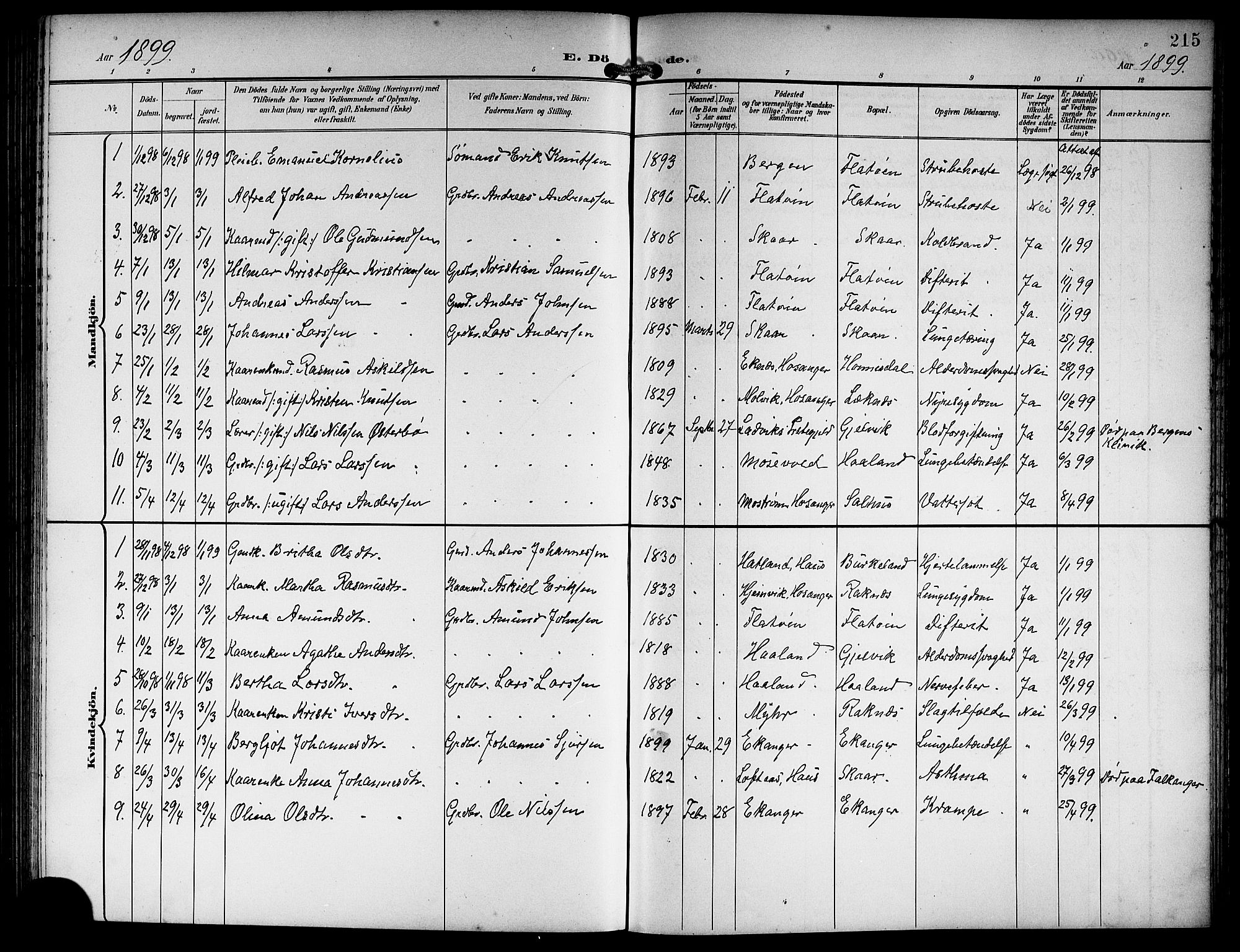 Hamre sokneprestembete, SAB/A-75501/H/Ha/Hab: Parish register (copy) no. B 4, 1898-1919, p. 215