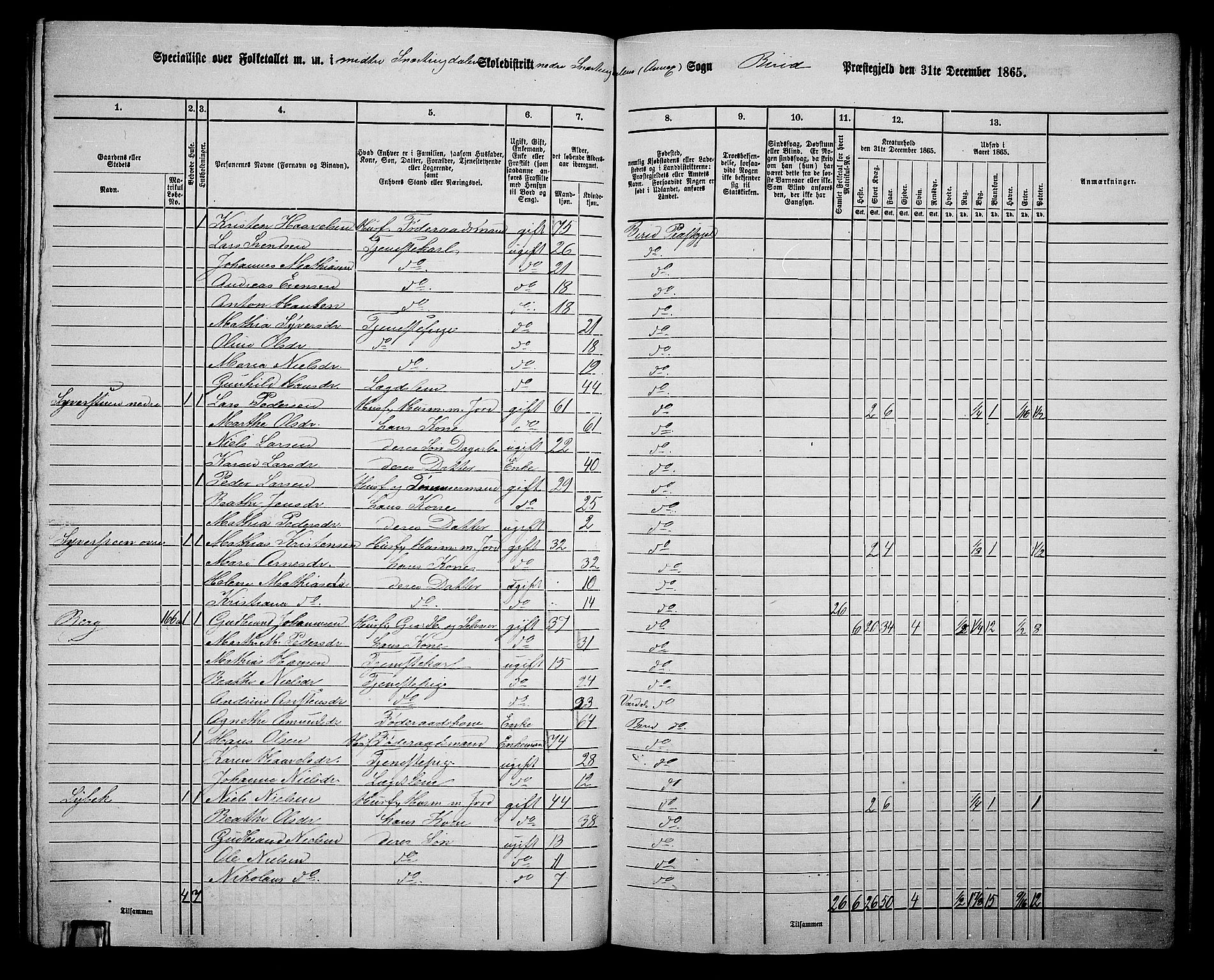 RA, 1865 census for Biri, 1865, p. 155