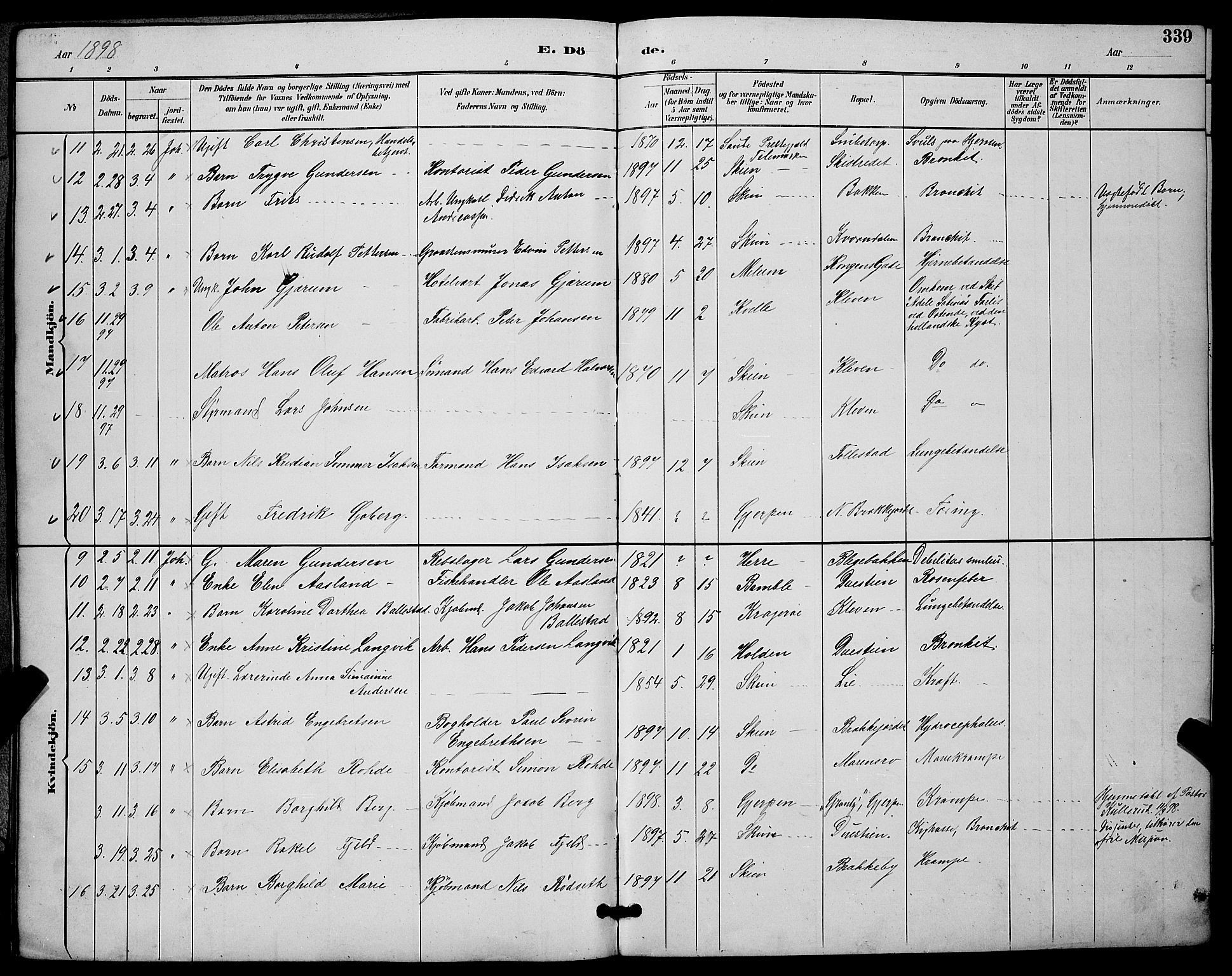 Skien kirkebøker, AV/SAKO-A-302/G/Ga/L0007: Parish register (copy) no. 7, 1891-1900, p. 339