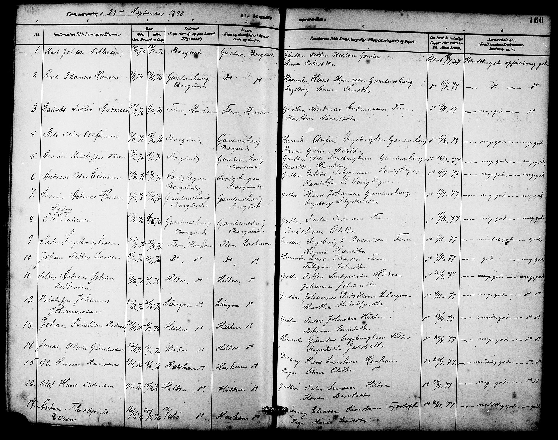 Ministerialprotokoller, klokkerbøker og fødselsregistre - Møre og Romsdal, AV/SAT-A-1454/536/L0510: Parish register (copy) no. 536C05, 1881-1898, p. 160