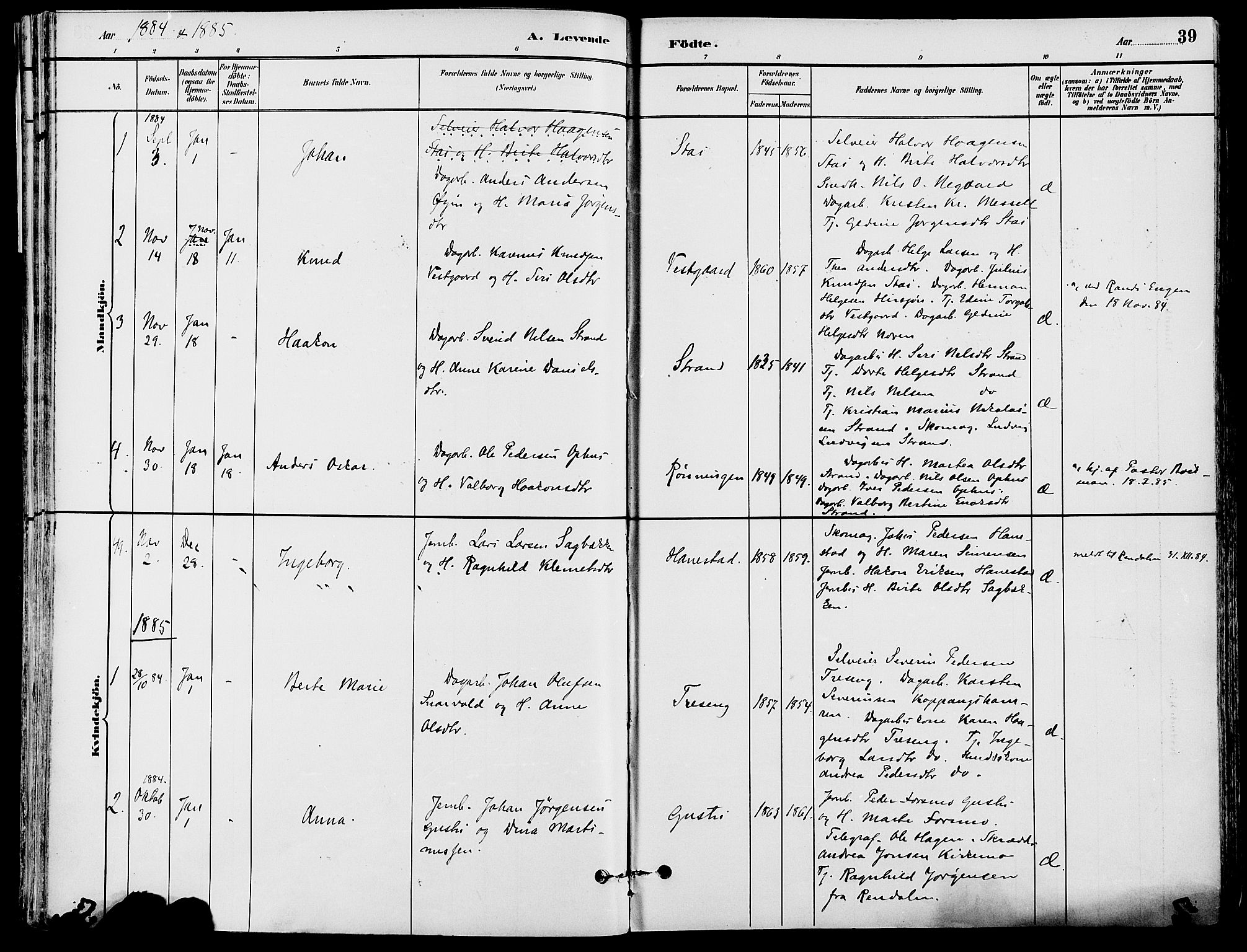 Stor-Elvdal prestekontor, SAH/PREST-052/H/Ha/Haa/L0002: Parish register (official) no. 2, 1882-1907, p. 39