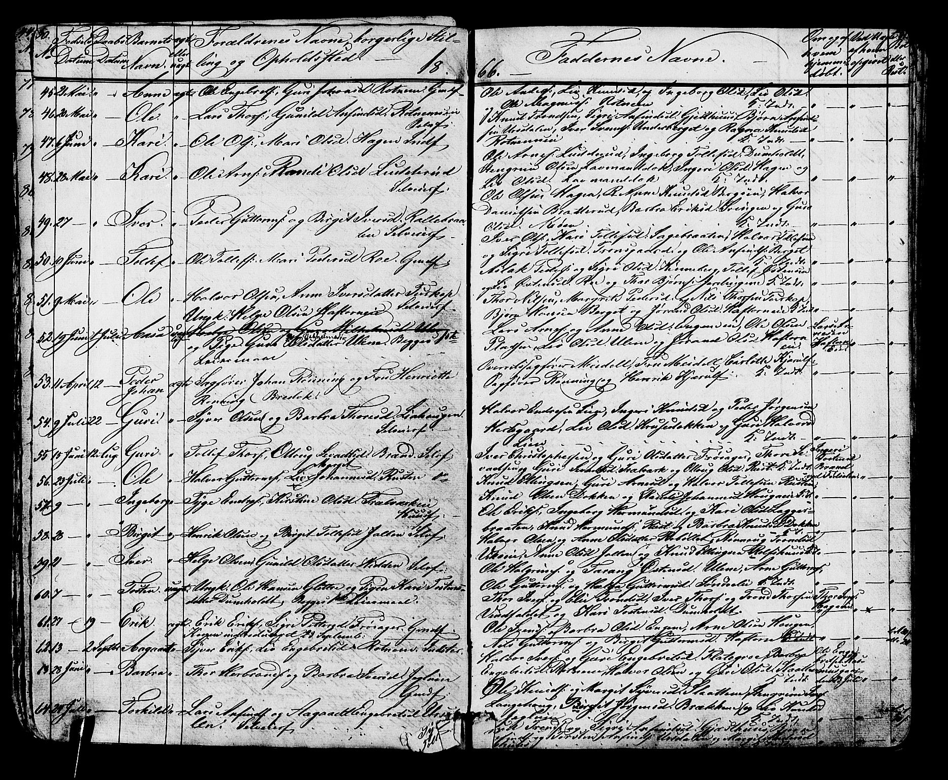 Gol kirkebøker, AV/SAKO-A-226/G/Ga/L0002: Parish register (copy) no. I 2, 1860-1887, p. 50-51