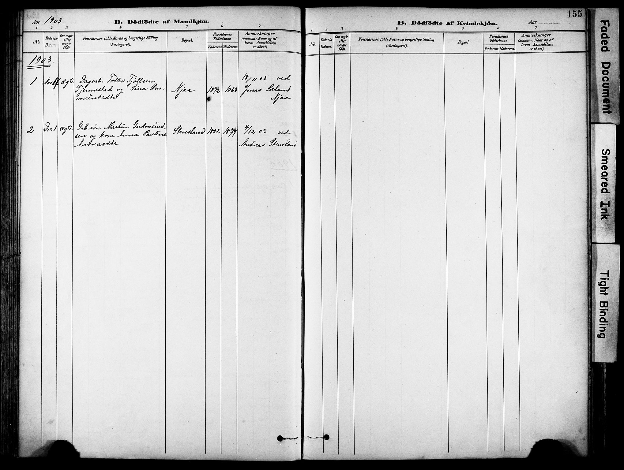 Lye sokneprestkontor, SAST/A-101794/001/30BA/L0011: Parish register (official) no. A 9, 1893-1903, p. 155