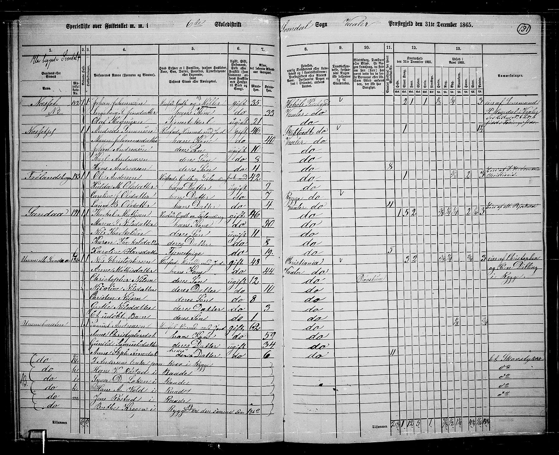 RA, 1865 census for Våler, 1865, p. 113