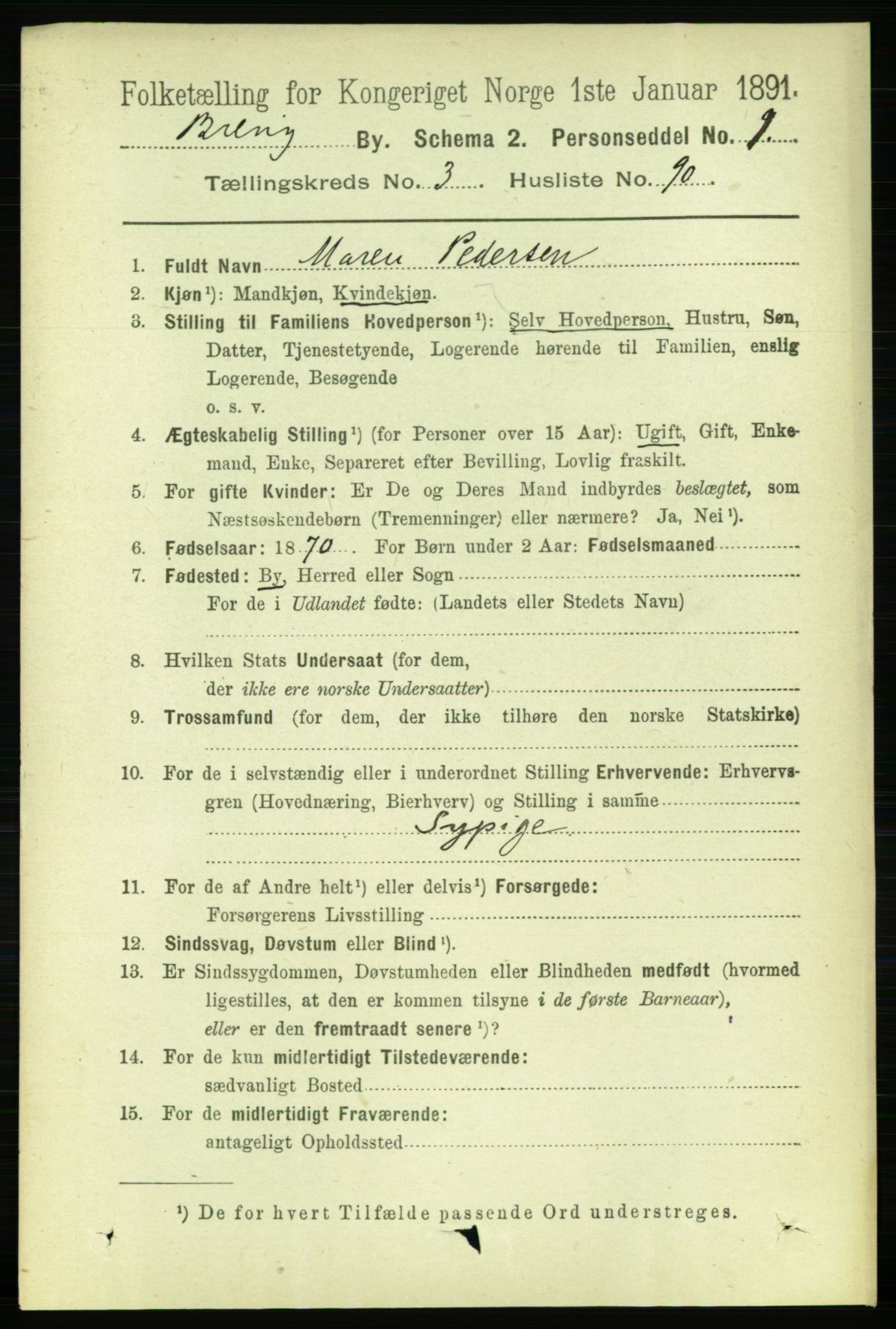 RA, 1891 census for 0804 Brevik, 1891, p. 2695