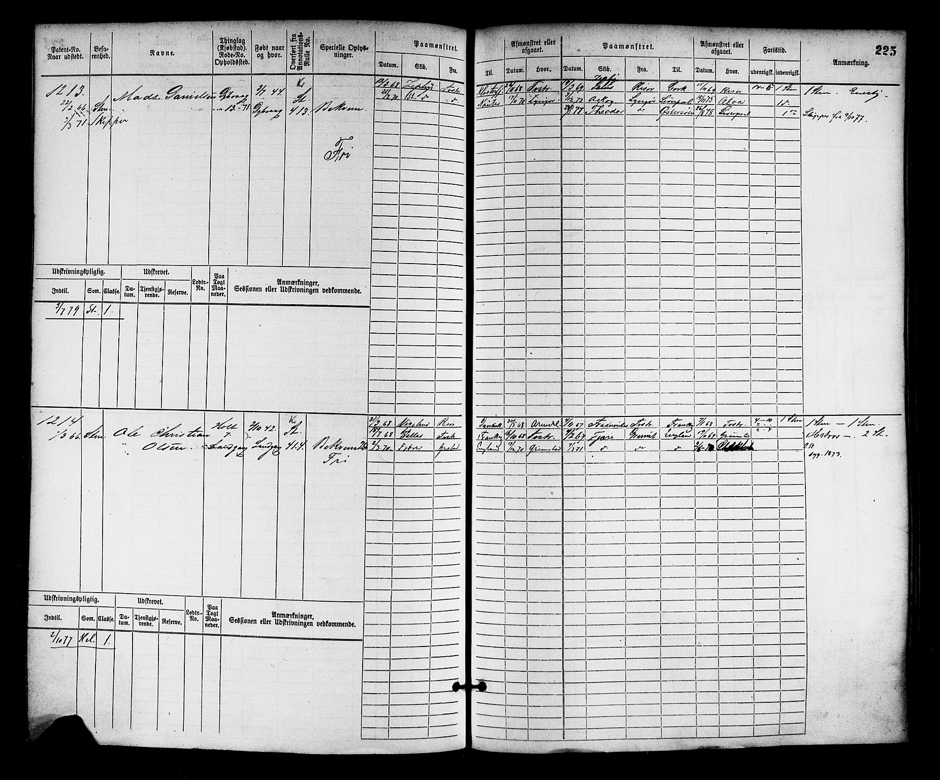 Tvedestrand mønstringskrets, AV/SAK-2031-0011/F/Fb/L0002: Hovedrulle nr 767-1528, R-3, 1868-1900, p. 229