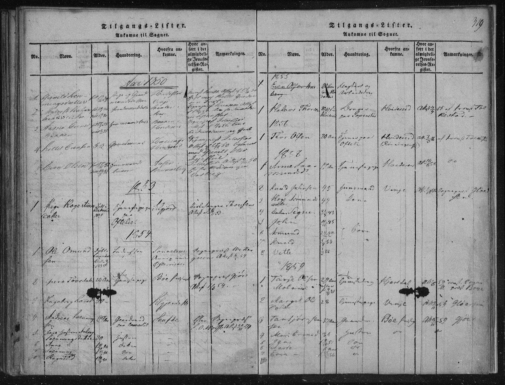 Lårdal kirkebøker, SAKO/A-284/F/Fc/L0001: Parish register (official) no. III 1, 1815-1860, p. 319