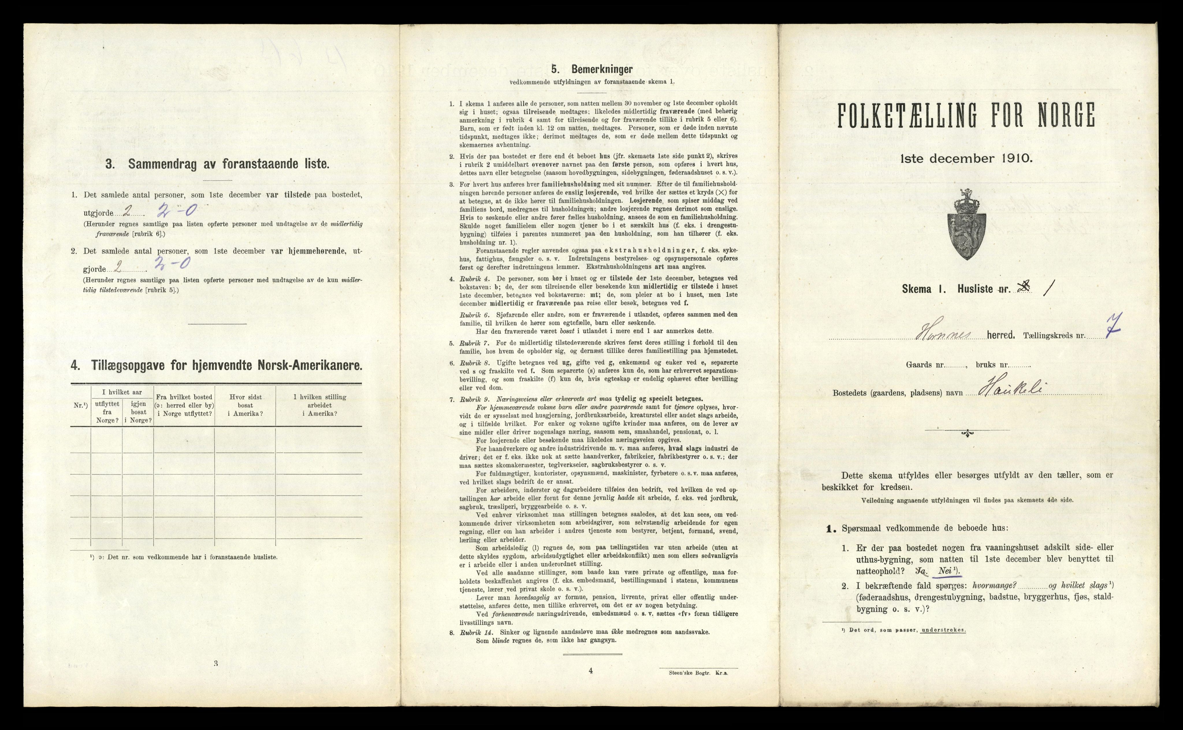 RA, 1910 census for Hornnes, 1910, p. 412