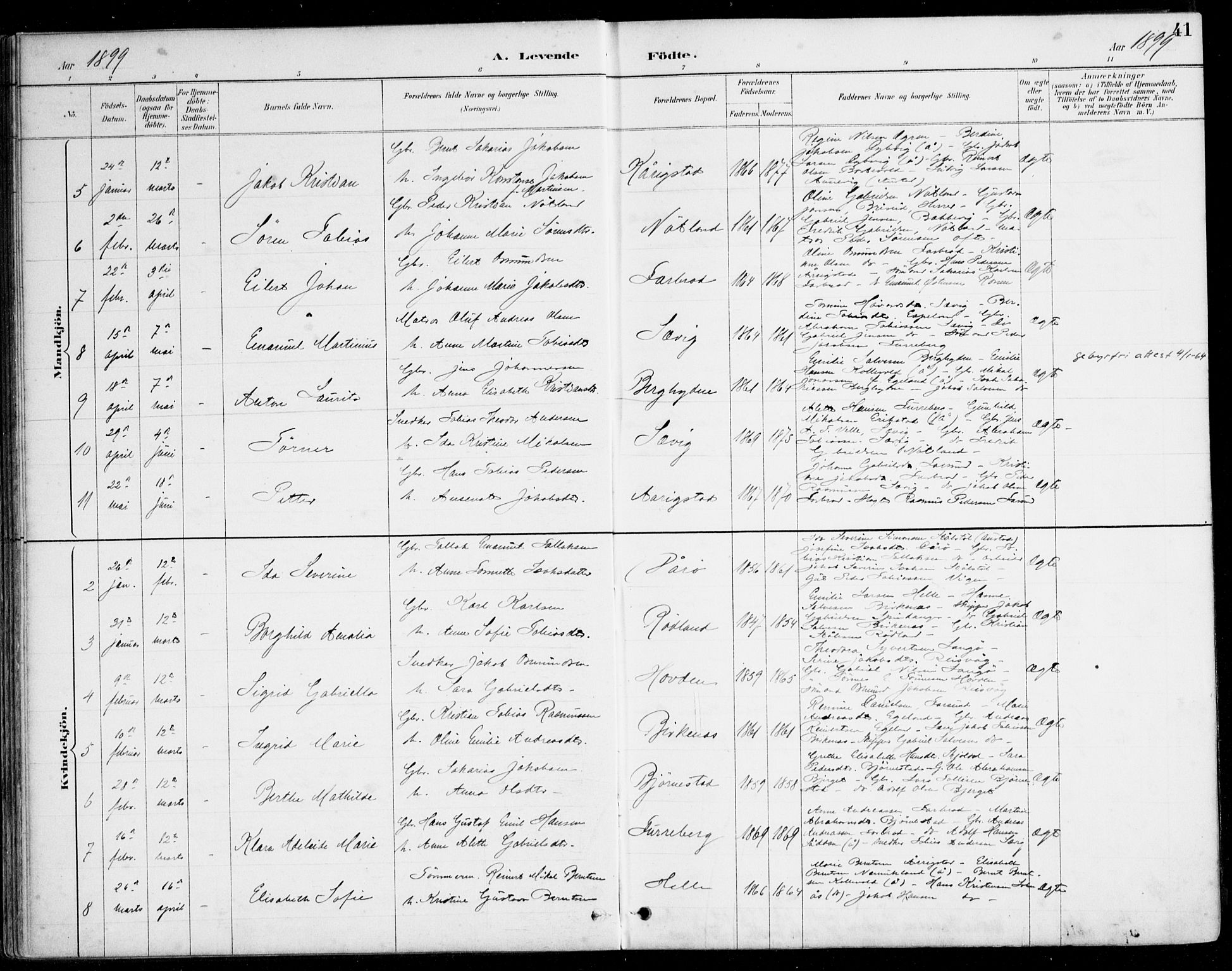 Herad sokneprestkontor, AV/SAK-1111-0018/F/Fa/Fab/L0005: Parish register (official) no. A 5, 1886-1913, p. 41