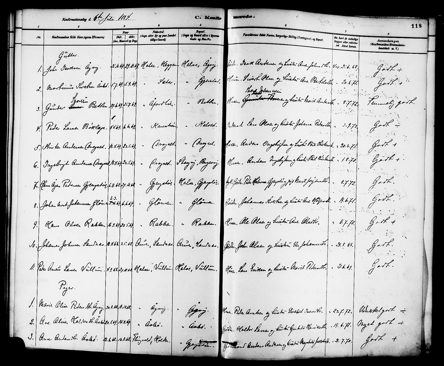 Ministerialprotokoller, klokkerbøker og fødselsregistre - Møre og Romsdal, SAT/A-1454/576/L0885: Parish register (official) no. 576A03, 1880-1898, p. 118