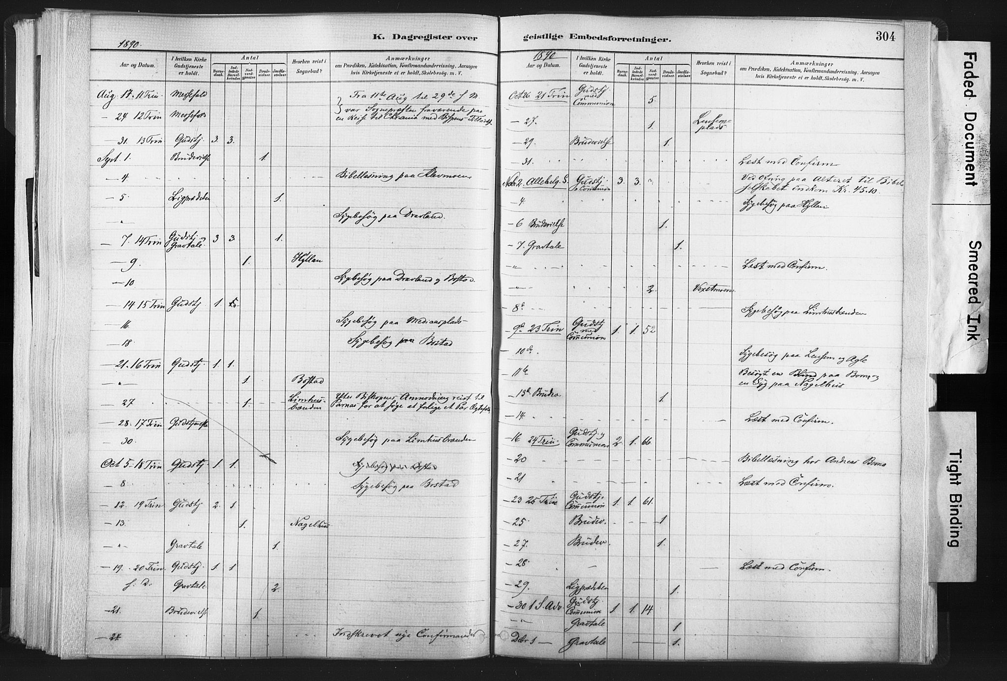Ministerialprotokoller, klokkerbøker og fødselsregistre - Nord-Trøndelag, SAT/A-1458/749/L0474: Parish register (official) no. 749A08, 1887-1903, p. 304