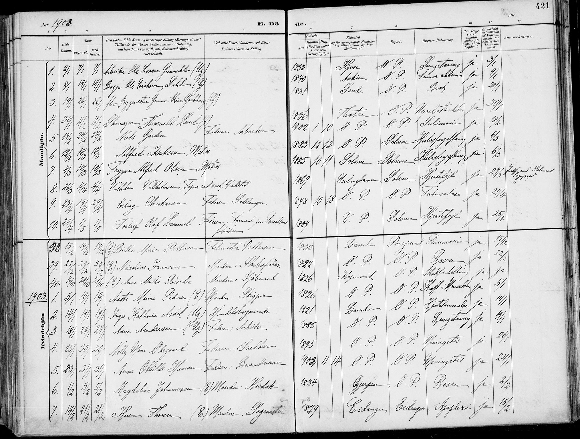 Porsgrunn kirkebøker , SAKO/A-104/F/Fa/L0011: Parish register (official) no. 11, 1895-1919, p. 421