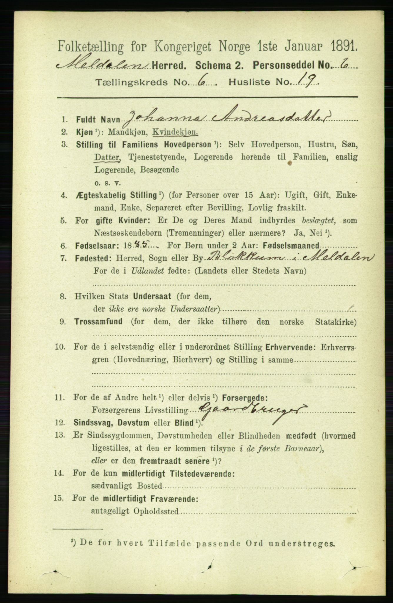 RA, 1891 census for 1636 Meldal, 1891, p. 2991