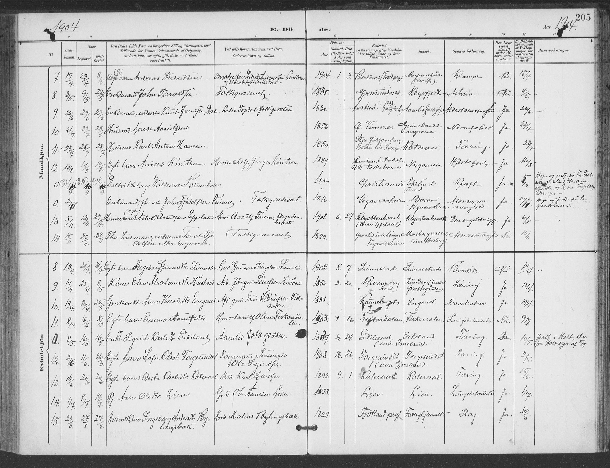 Åmli sokneprestkontor, AV/SAK-1111-0050/F/Fa/Fac/L0012: Parish register (official) no. A 12, 1900-1914, p. 205