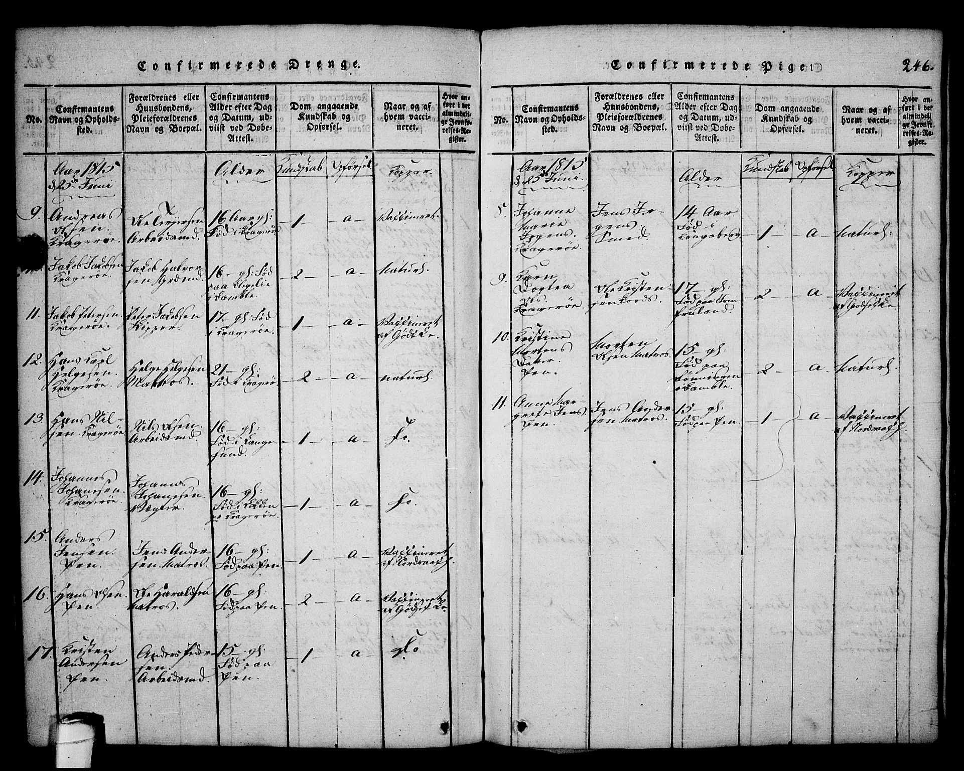 Kragerø kirkebøker, SAKO/A-278/G/Ga/L0002: Parish register (copy) no. 2, 1814-1831, p. 246