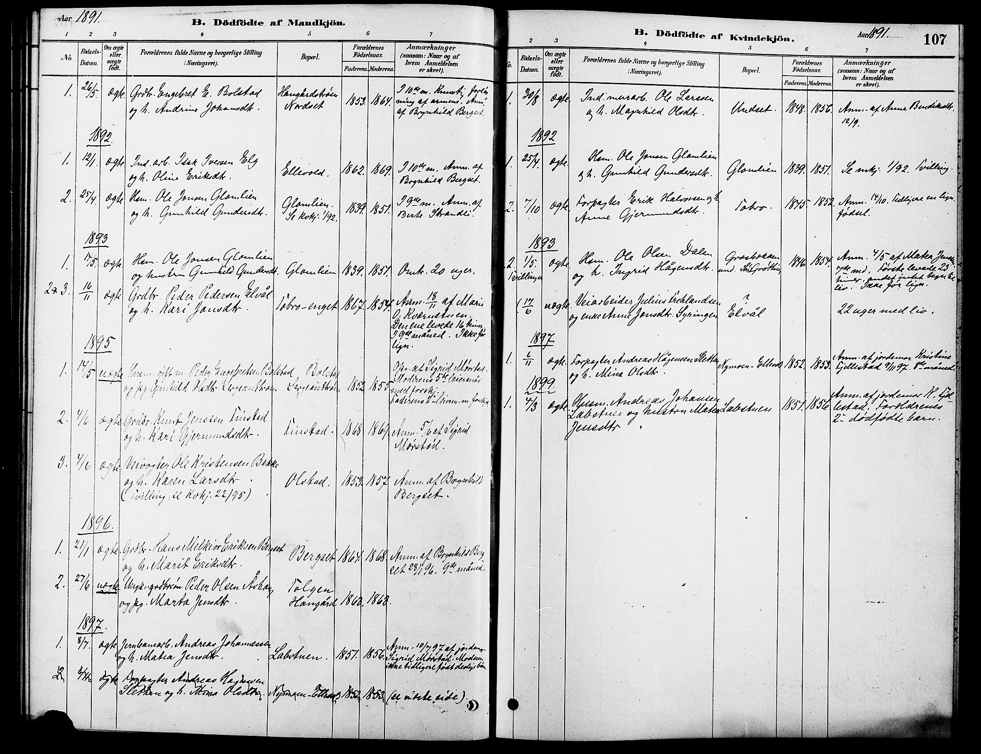 Rendalen prestekontor, SAH/PREST-054/H/Ha/Hab/L0003: Parish register (copy) no. 3, 1879-1904, p. 107