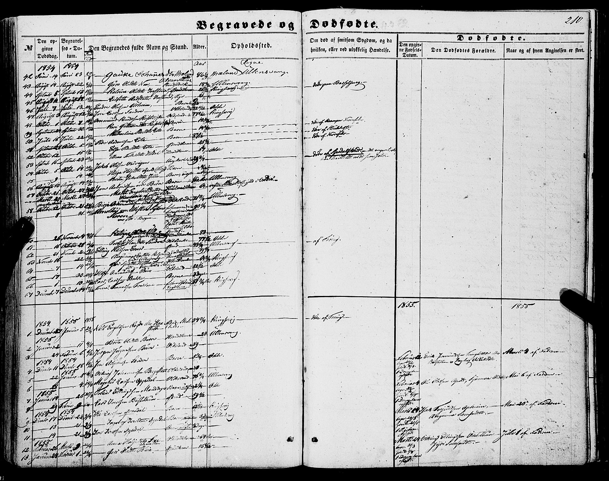 Ullensvang sokneprestembete, SAB/A-78701/H/Haa: Parish register (official) no. A 11, 1854-1866, p. 210