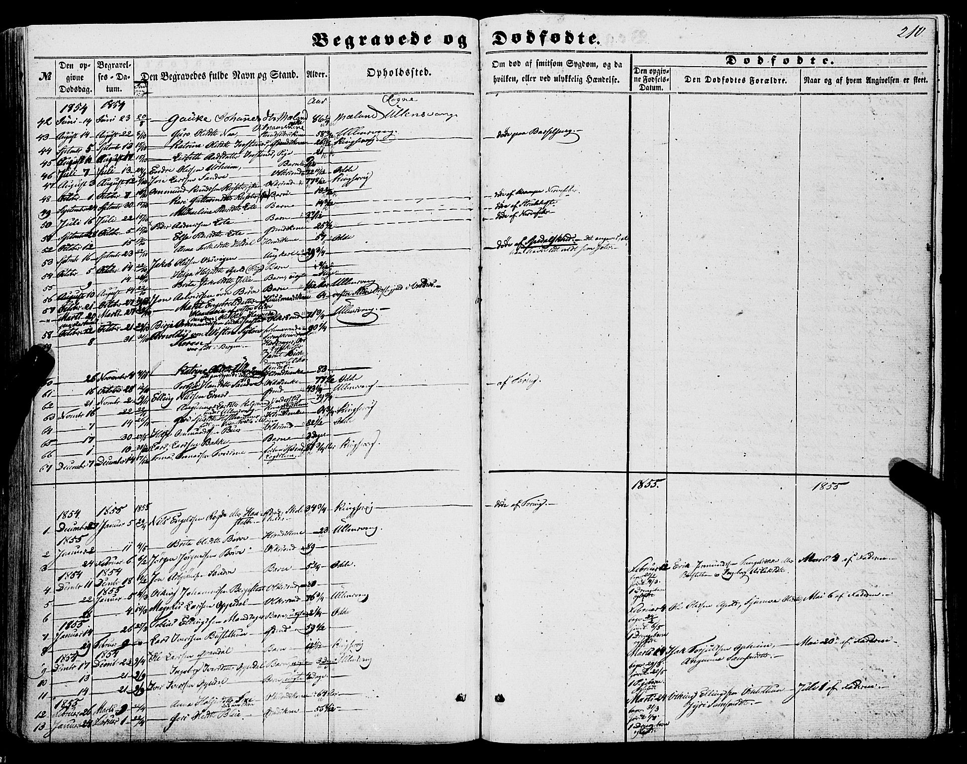 Ullensvang sokneprestembete, AV/SAB-A-78701/H/Haa: Parish register (official) no. A 11, 1854-1866, p. 210