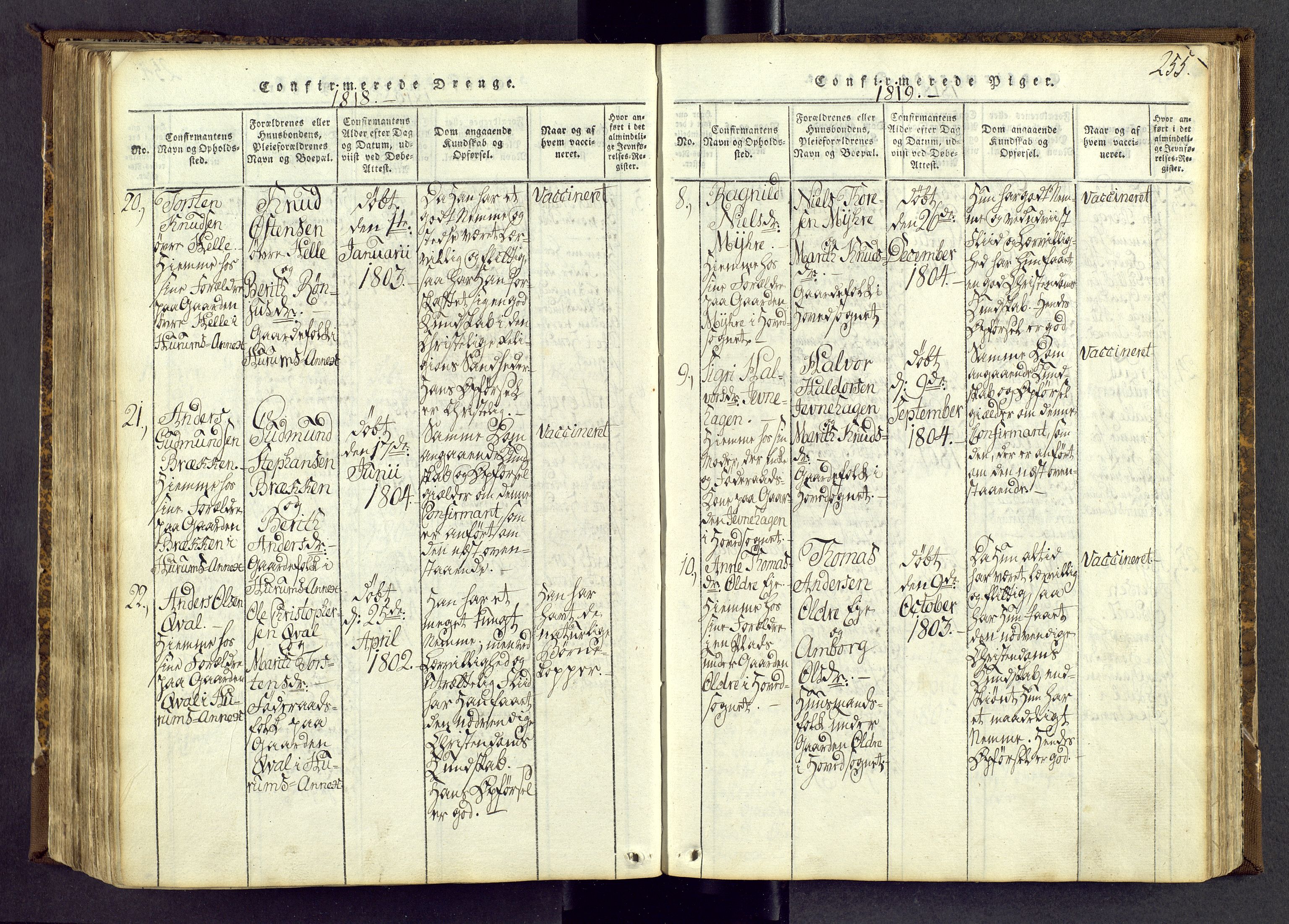 Vang prestekontor, Valdres, AV/SAH-PREST-140/H/Ha/L0004: Parish register (official) no. 4, 1814-1831, p. 255